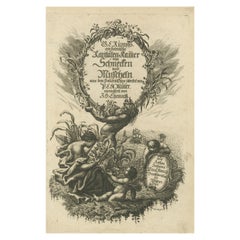 Rare German Frontispiece of Rumphius Cabinet of Curiosities, 1765