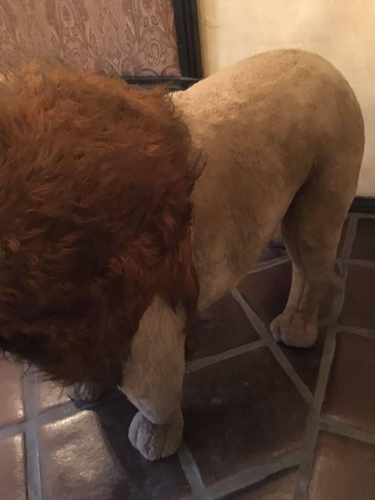 Rare German Stuffed Studio Lion Life Size  In Good Condition In Los Angeles, CA