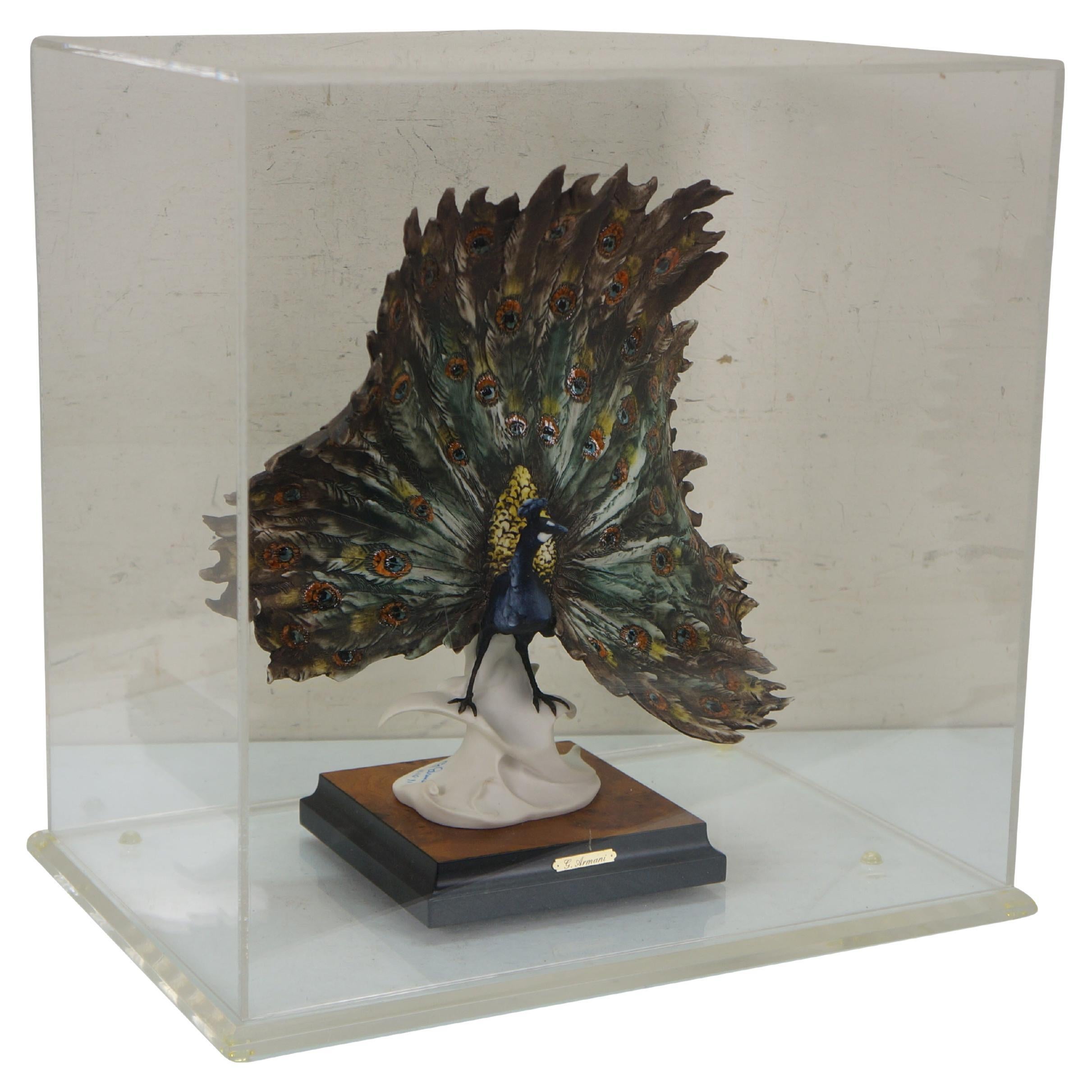 Rare vintage 1989 signed Italian Florentine Capodimonte ceramic sculpture number 0720 in the shape of a male peacock with tail feathers spread, designed by Giuseppe Armani and signed by the artist in 1991. Ceramic sculpture set on a black and burl