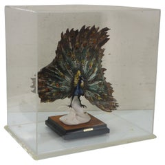 Rare Giuseppe Armani Signed Capodimonte Peacock 0720 Figurine & Shadowbox Case