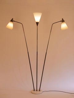 Seltene, verstellbare Stehlampe von Giuseppe Ostuni für O-Luce mit Lucite-Schirm, Italien, um 1950