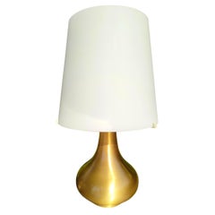 Rare Golden Brass 2344 Model Design Max Ingrand for Fontana Arte, 1950