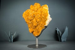 Rare Golden Orange Citrine Flower Cluster with Sparkly Galaxy Citrine Druzy
