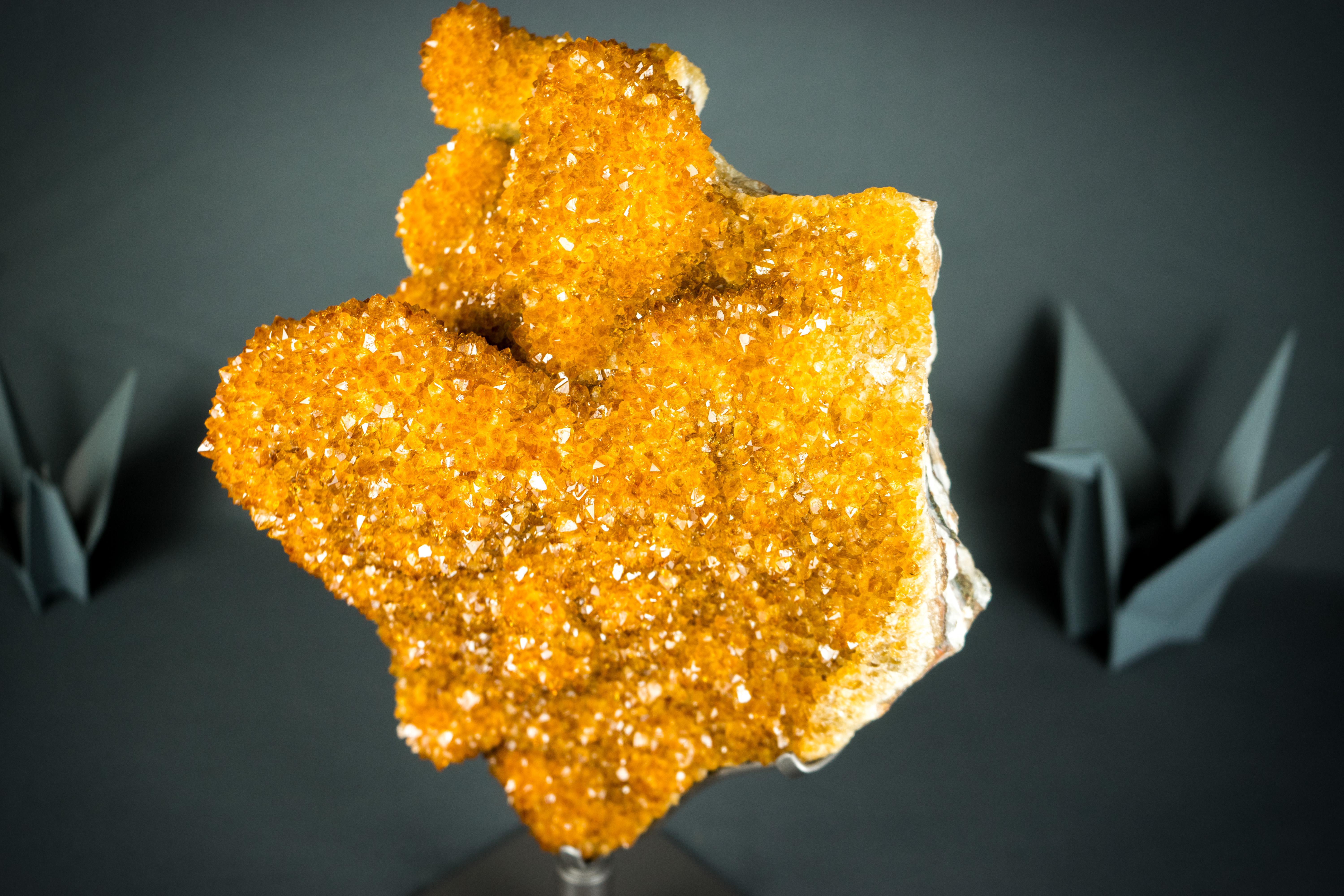 Seltener goldener orangefarbener Citrin-Blumen-Cluster mit funkelndem Galaxy- Citrin- Druzy (21. Jahrhundert und zeitgenössisch) im Angebot