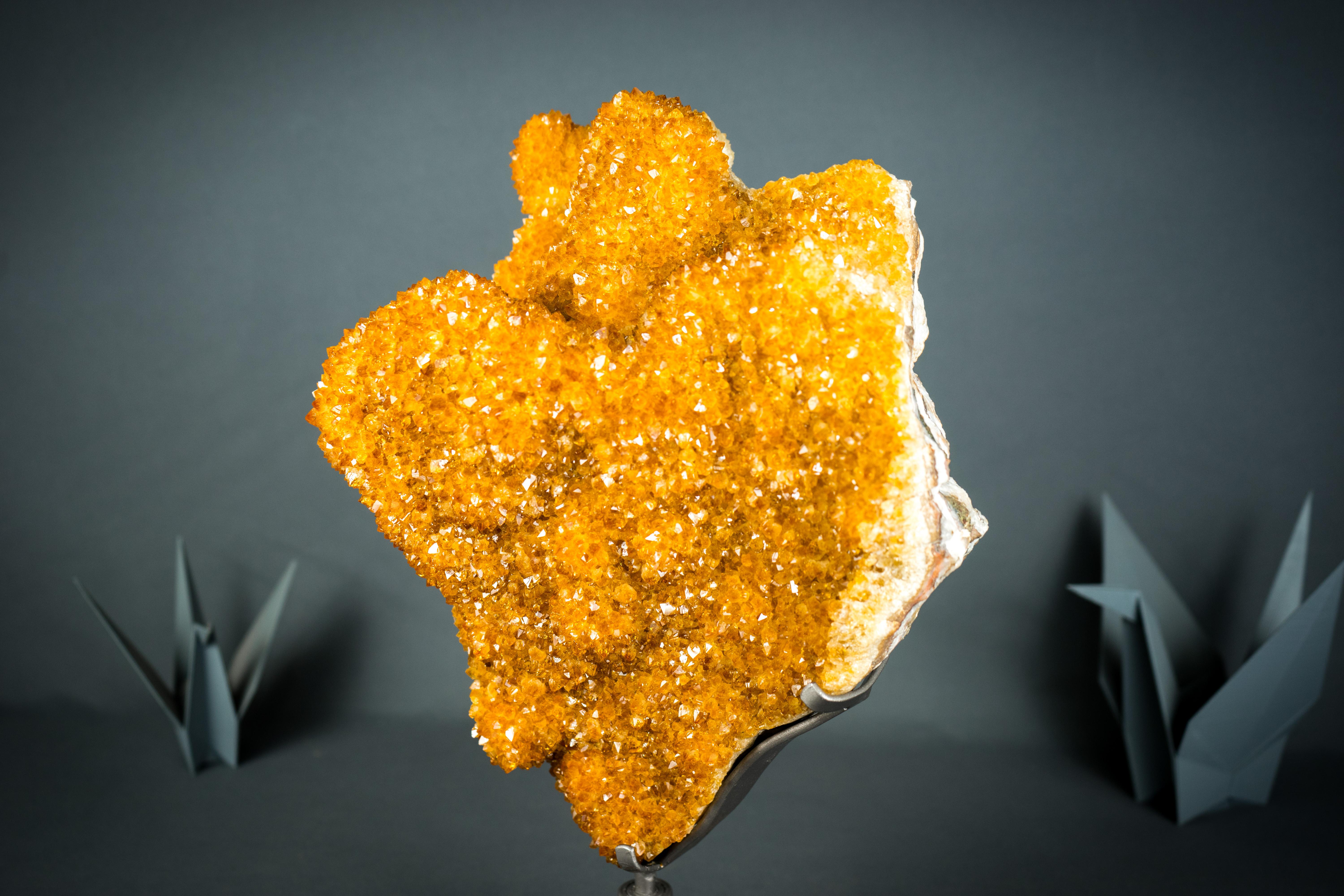 Seltener goldener orangefarbener Citrin-Blumen-Cluster mit funkelndem Galaxy- Citrin- Druzy (Kristall) im Angebot