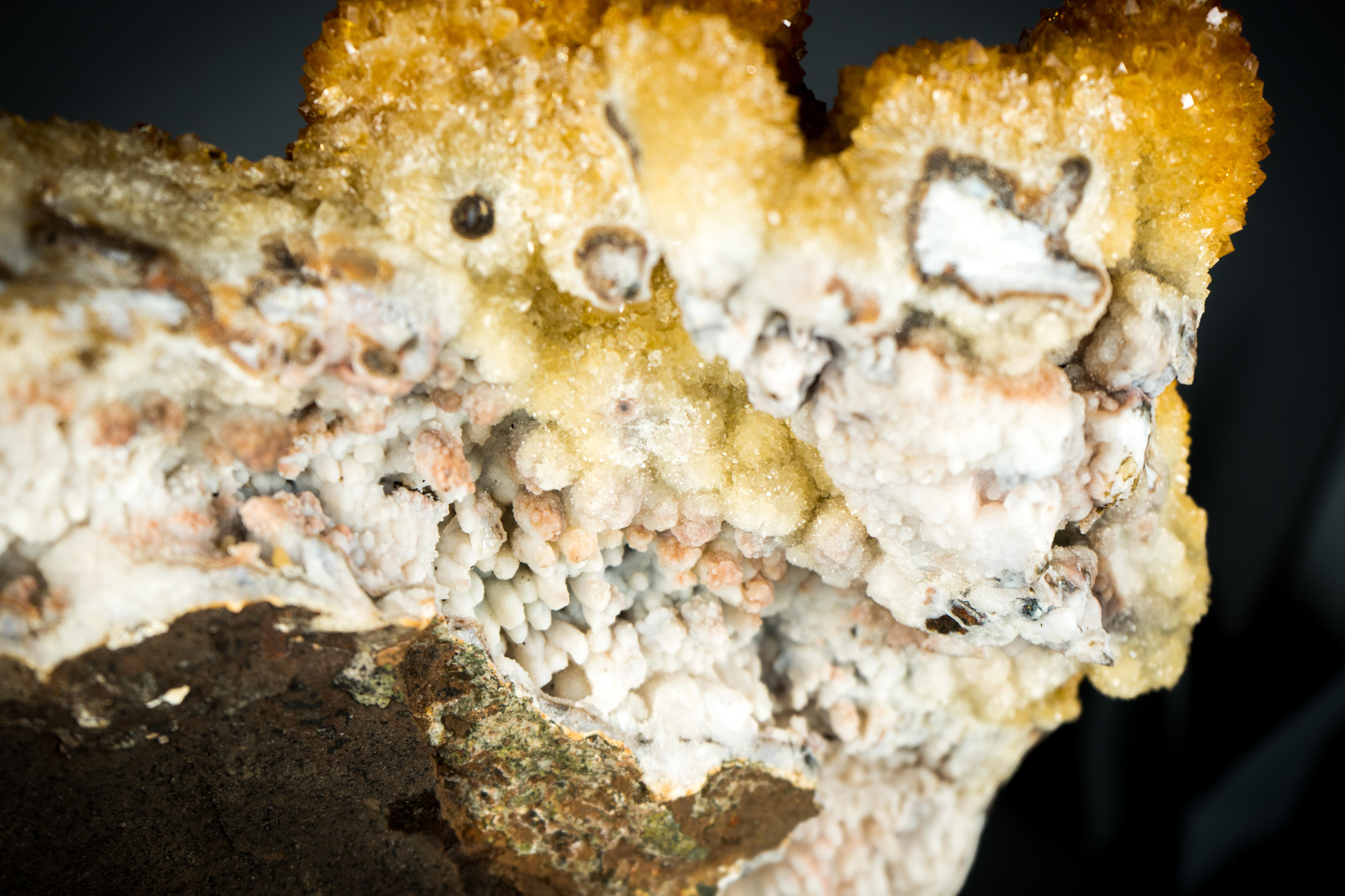 Seltener goldener orangefarbener Citrin-Blumen-Cluster mit funkelndem Galaxy- Citrin- Druzy im Angebot 2