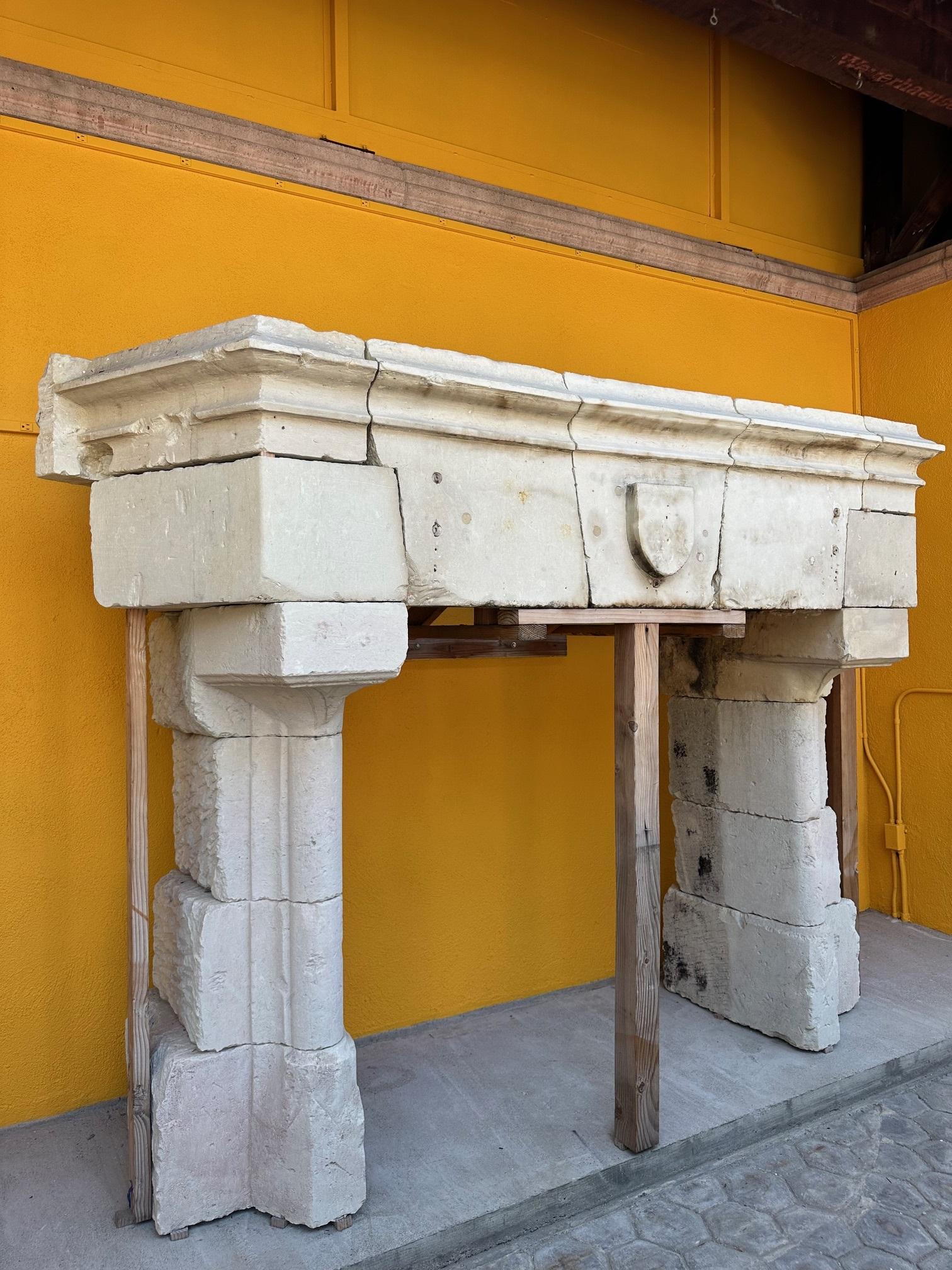 Raro Castillo Gótico Chimenea de Piedra Caliza Chimenea Chateau Piedra Tallada a Mano en venta 9
