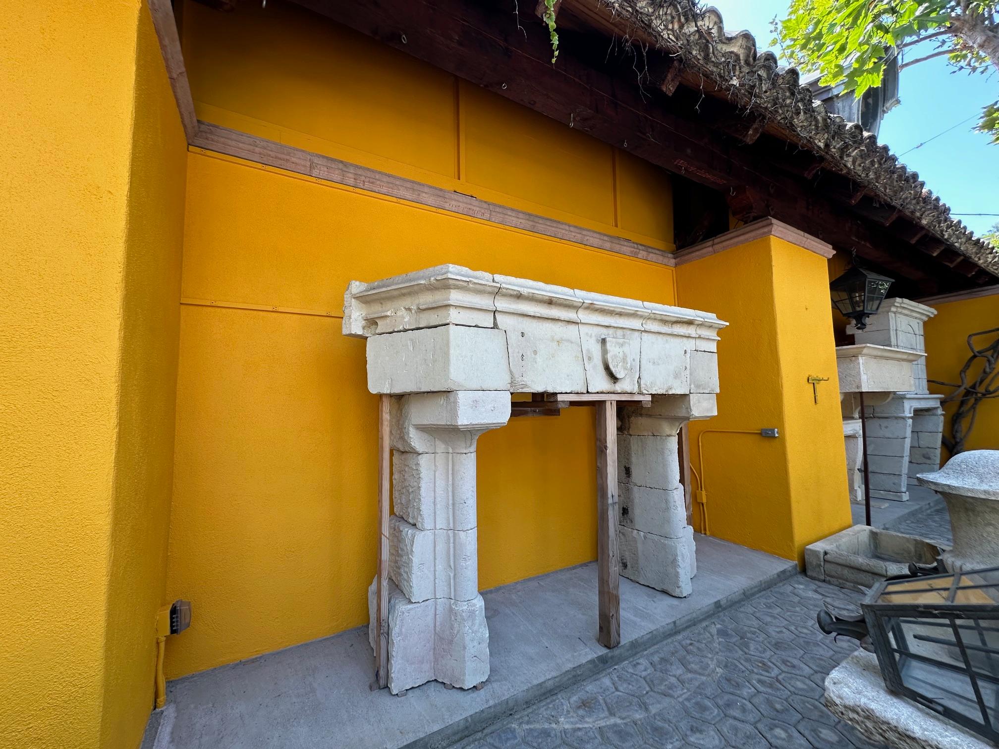 Raro Castillo Gótico Chimenea de Piedra Caliza Chimenea Chateau Piedra Tallada a Mano en venta 2