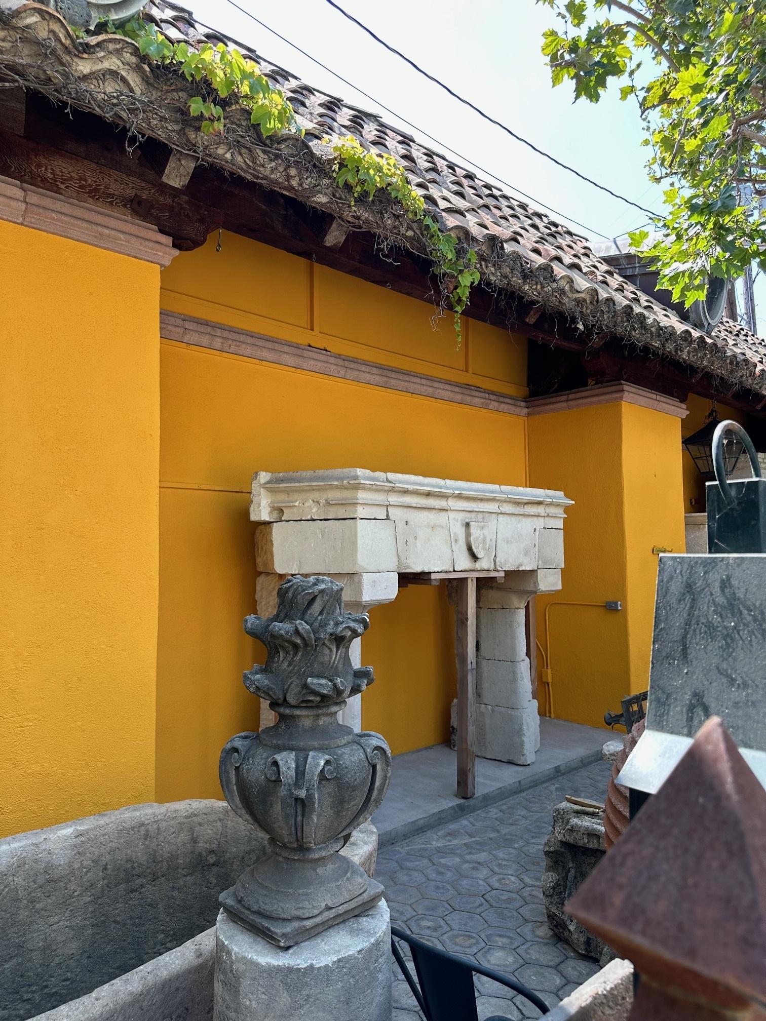 Raro Castillo Gótico Chimenea de Piedra Caliza Chimenea Chateau Piedra Tallada a Mano en venta 3