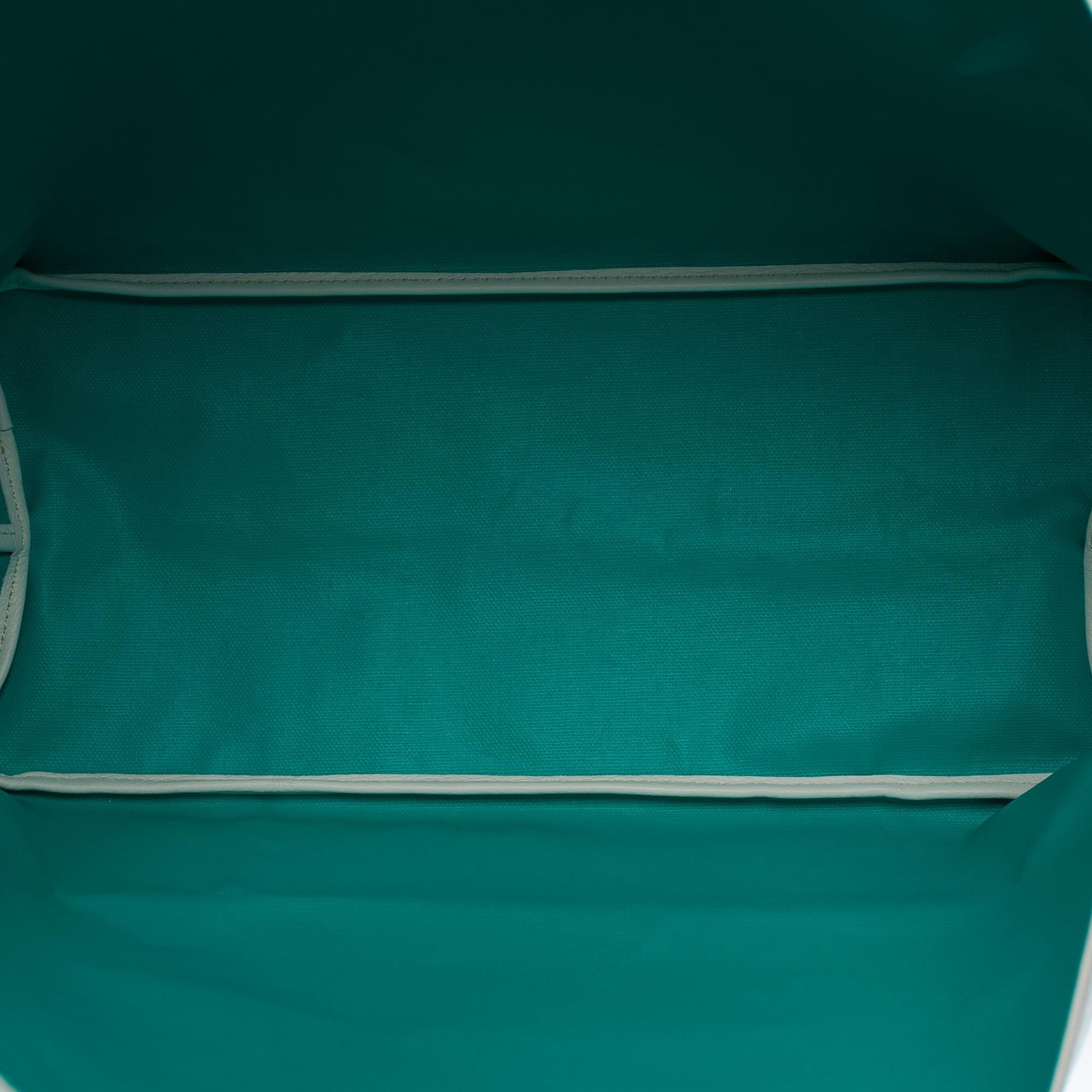 Rare Goyard Saint-Louis Voie-Claire PM Tote bag in White & Green canvas, SHW 2