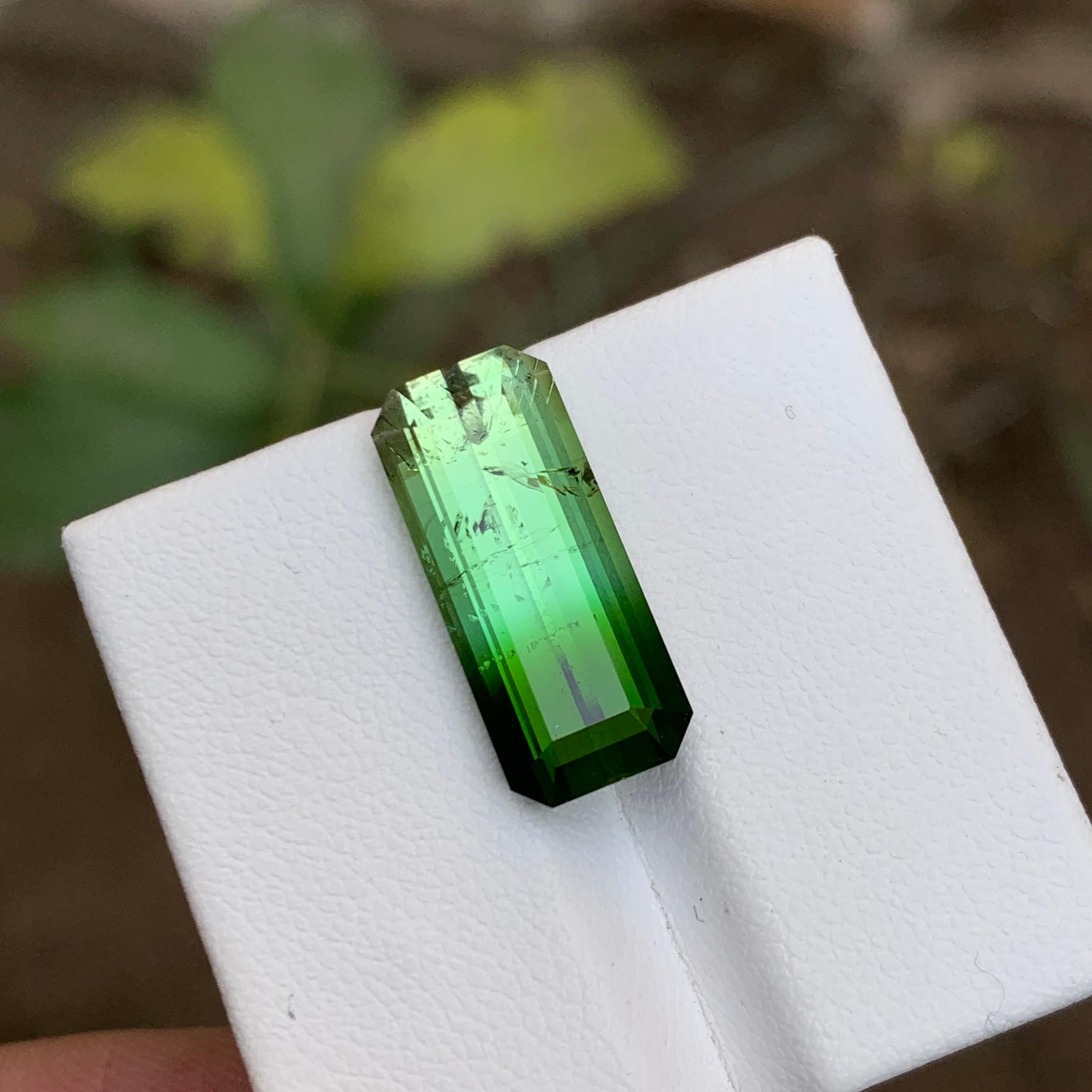Rare Green Bicolor Natural Tourmaline Gemstone, 9.85 Carat Elongated Emerald Cut For Sale 12