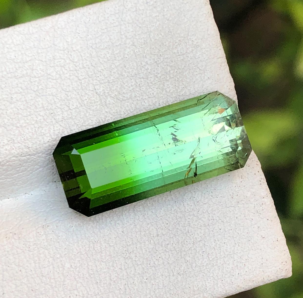 GEMSTONE TYPE: Tourmaline
PIECE(S): 1
WEIGHT: 9.85 Carats
SHAPE: Elongated Emerald Cut
SIZE (MM): 19.01 x 8.17 x 6.68
COLOR: Green Bicolor
CLARITY: Slightly Included 
TREATMENT: None
ORIGIN: Afghanistan
CERTIFICATE: On demand

Behold, a captivating