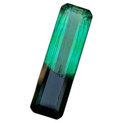 Rare Green & Black Bicolor Tourmaline Gemstone, 3.90 Ct Emerald Cut for Jewelry 