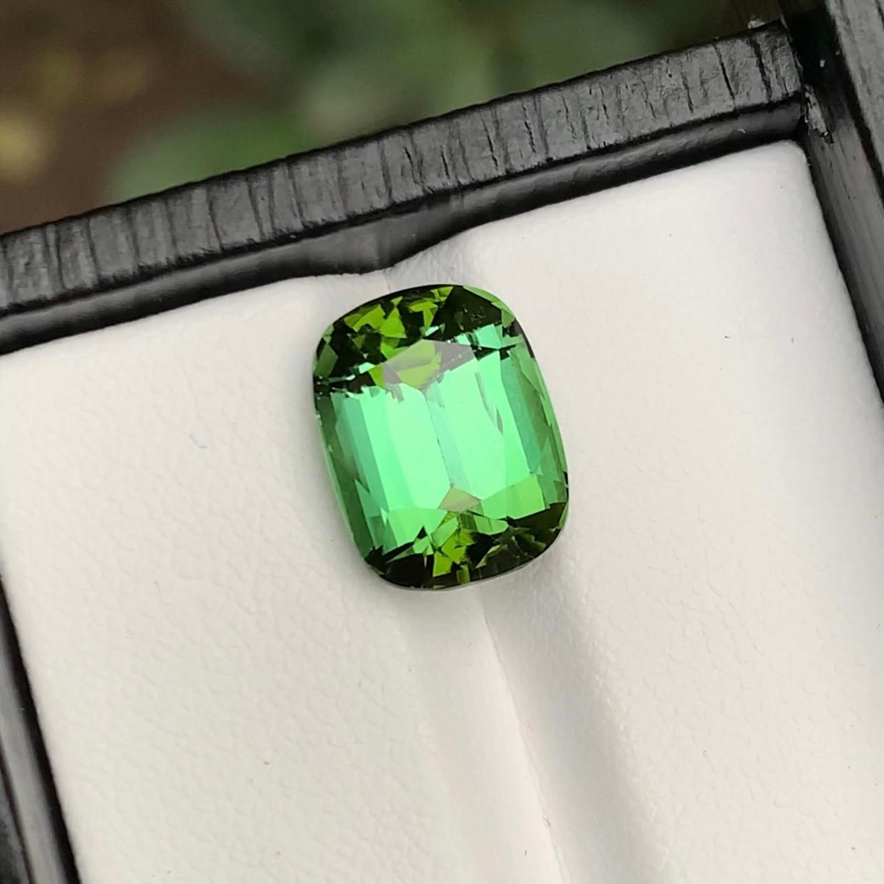 GEMSTONE TYPE: Tourmaline
PIECE(S): 1
WEIGHT: 5.90 Carats
SHAPE: Step Cushion Mix Cut
SIZE (MM): 12.01 x 9.21 x 7.36
COLOR: Green
CLARITY: Approx Eye Clean
TREATMENT: None
ORIGIN: Afghanistan
CERTIFICATE: On demand
(if you require a certificate,