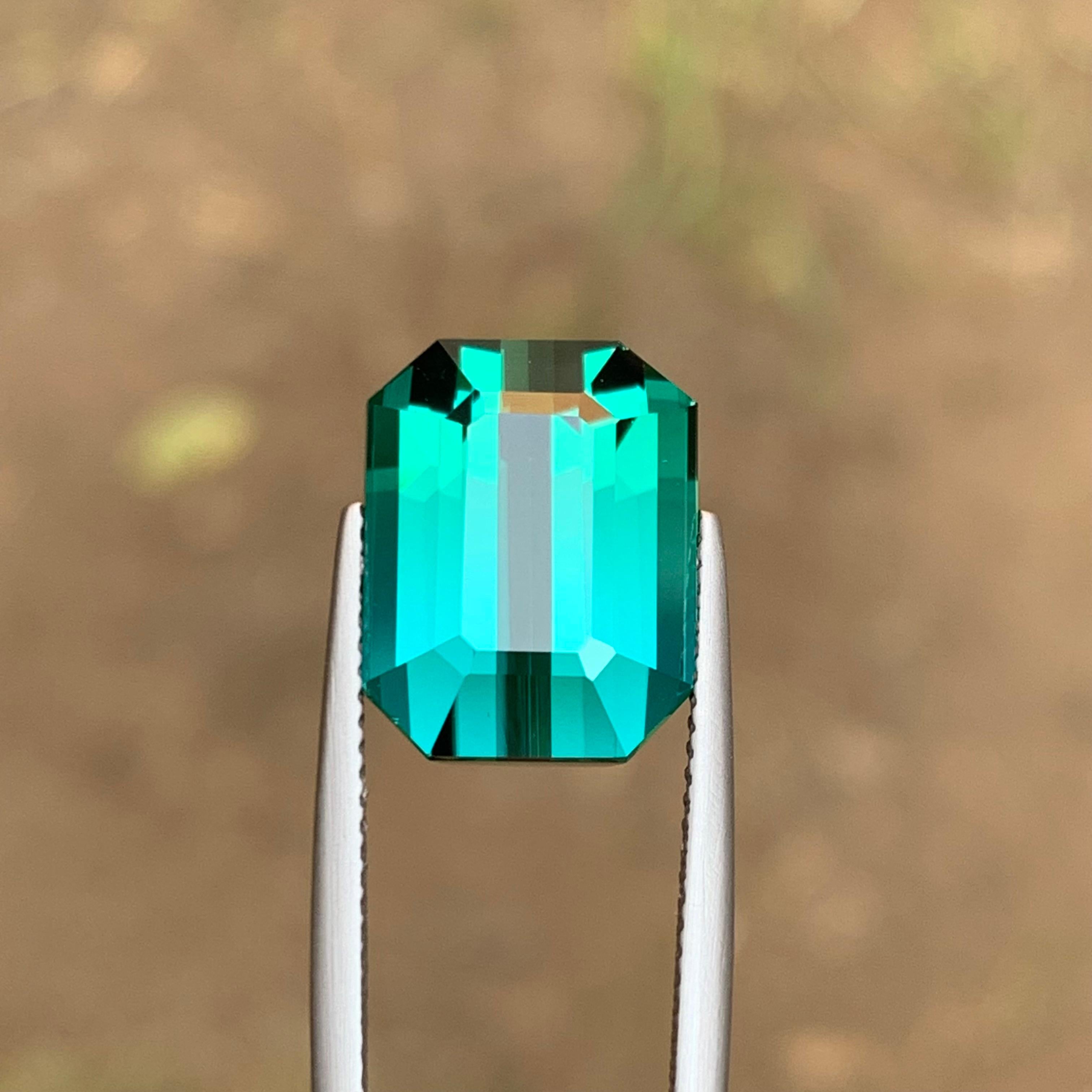 Rare Greenish Blue Flawless Natural Tourmaline Gemstone, 13.05 Ct Emerald Cut Af For Sale 6