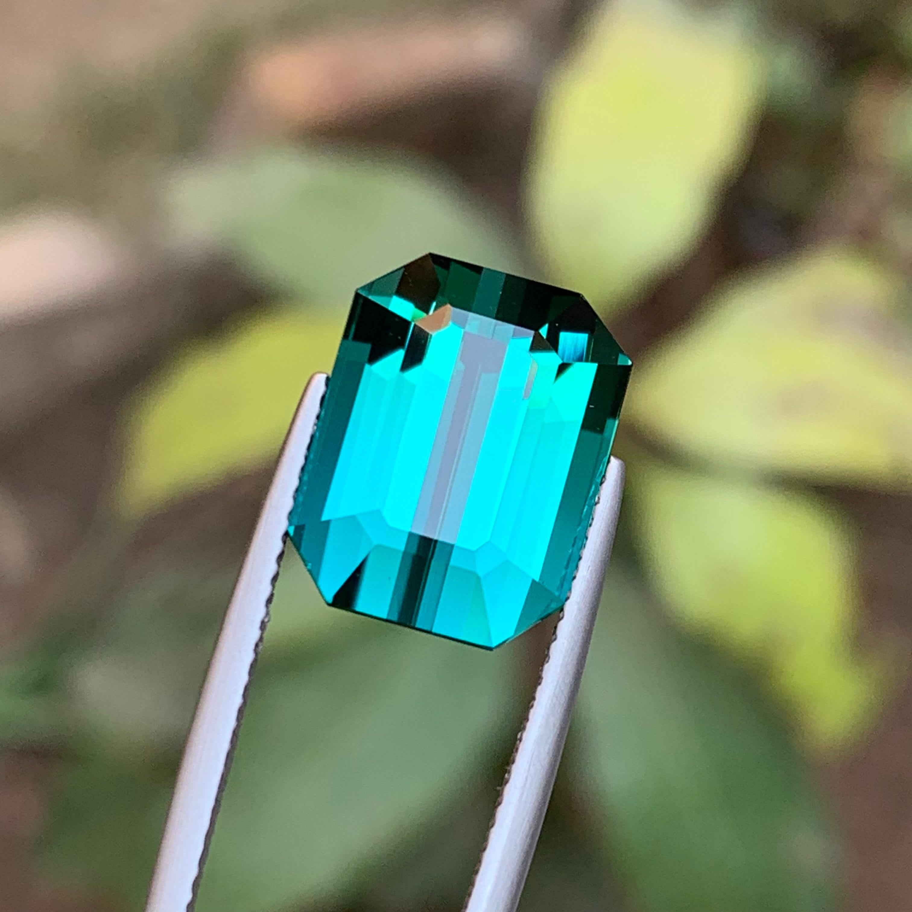 Rare Greenish Blue Flawless Natural Tourmaline Gemstone, 13.05 Ct Emerald Cut Af For Sale 8