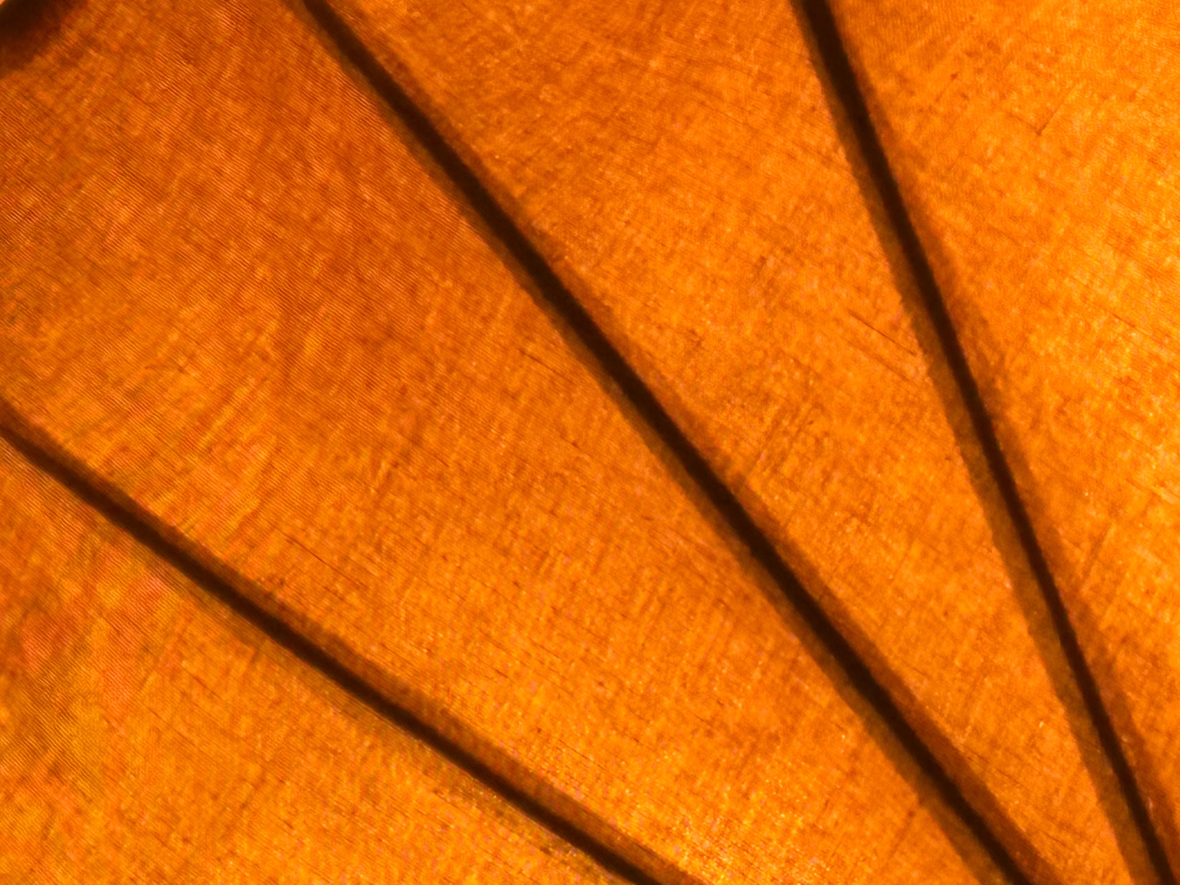 Rara lampada a sospensione Uchiwa 