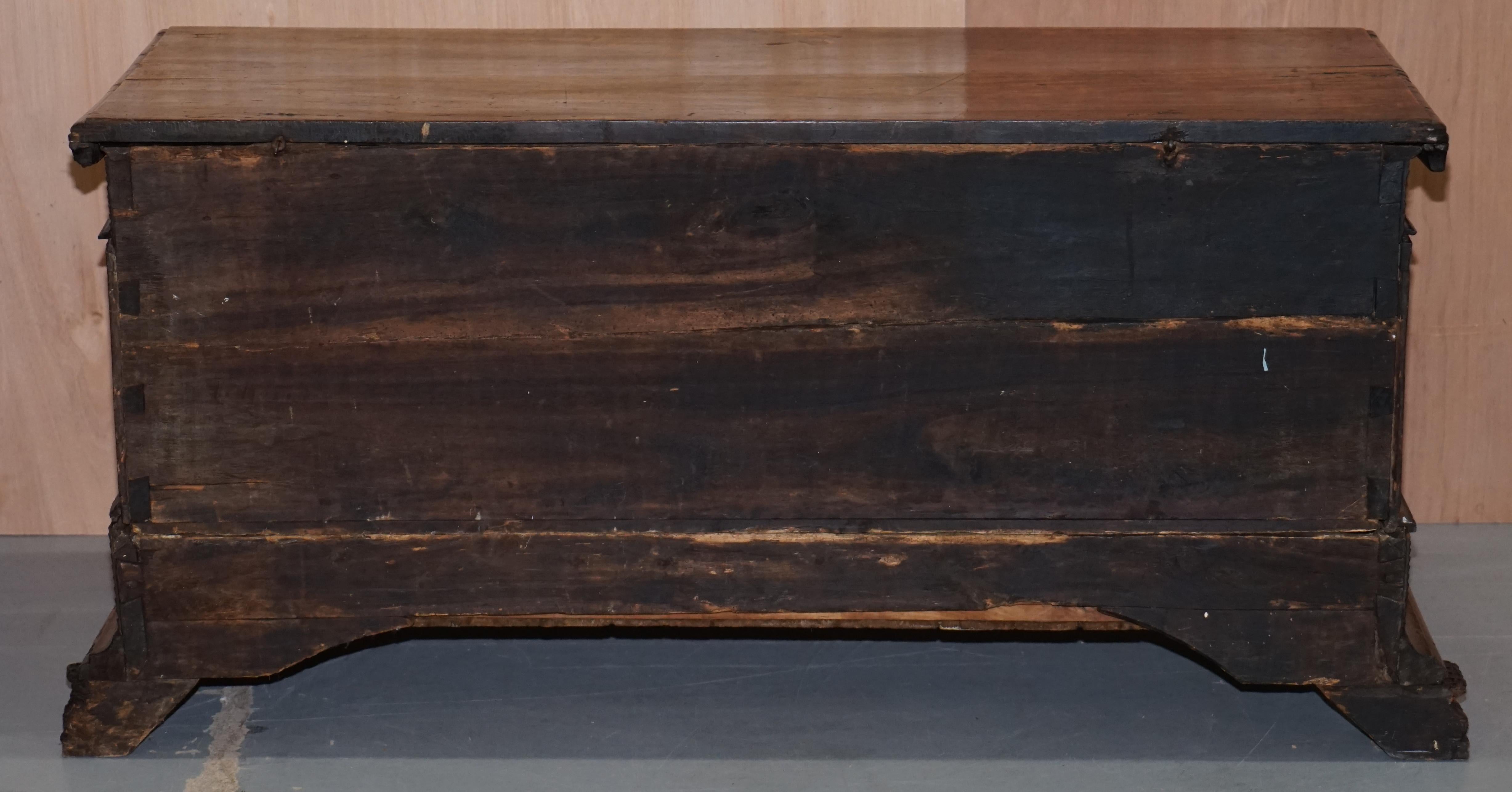 Rare Hand Carved 18th Century Italian Walnut Cassone Trunk Chest Blanket Box 6