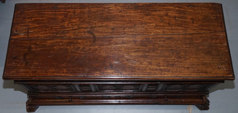 Rare Hand Carved 18th Century Italian Walnut Cassone Trunk Chest Blanket Box For Sale 6