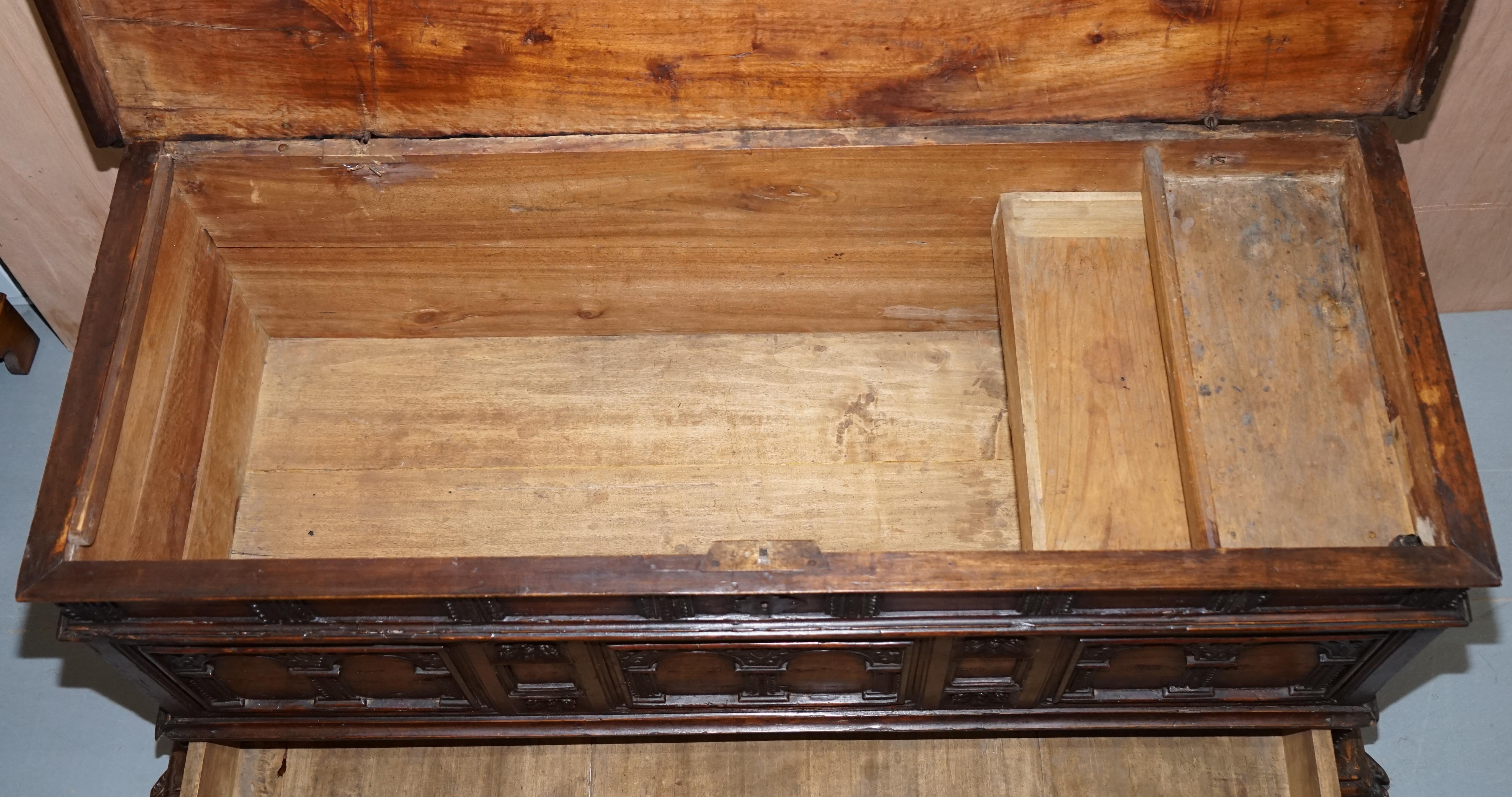 Rare Hand Carved 18th Century Italian Walnut Cassone Trunk Chest Blanket Box 11