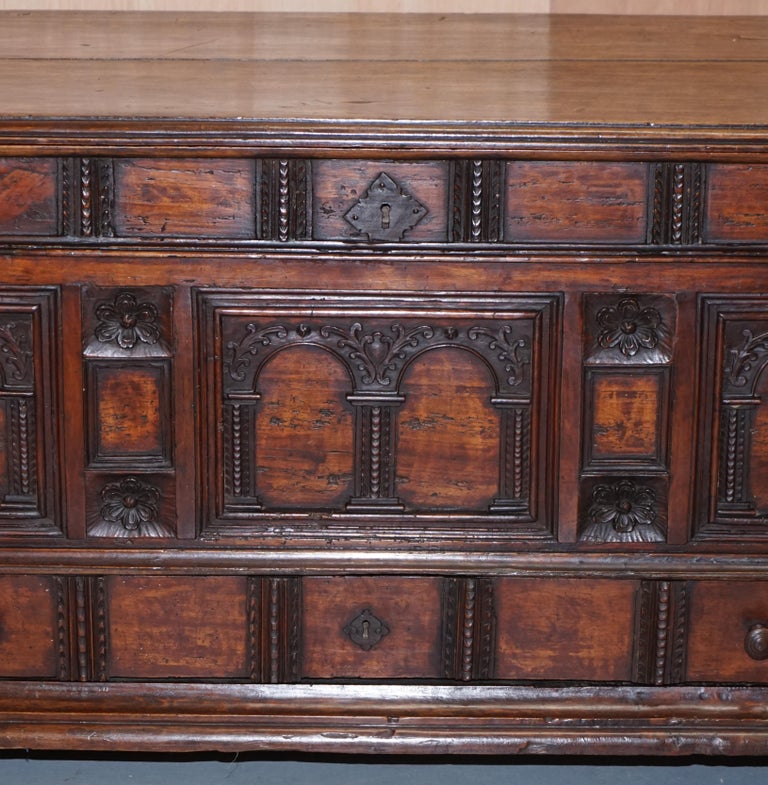 Rare Hand Carved 18th Century Italian Walnut Cassone Trunk Chest Blanket Box In Good Condition For Sale In , Pulborough