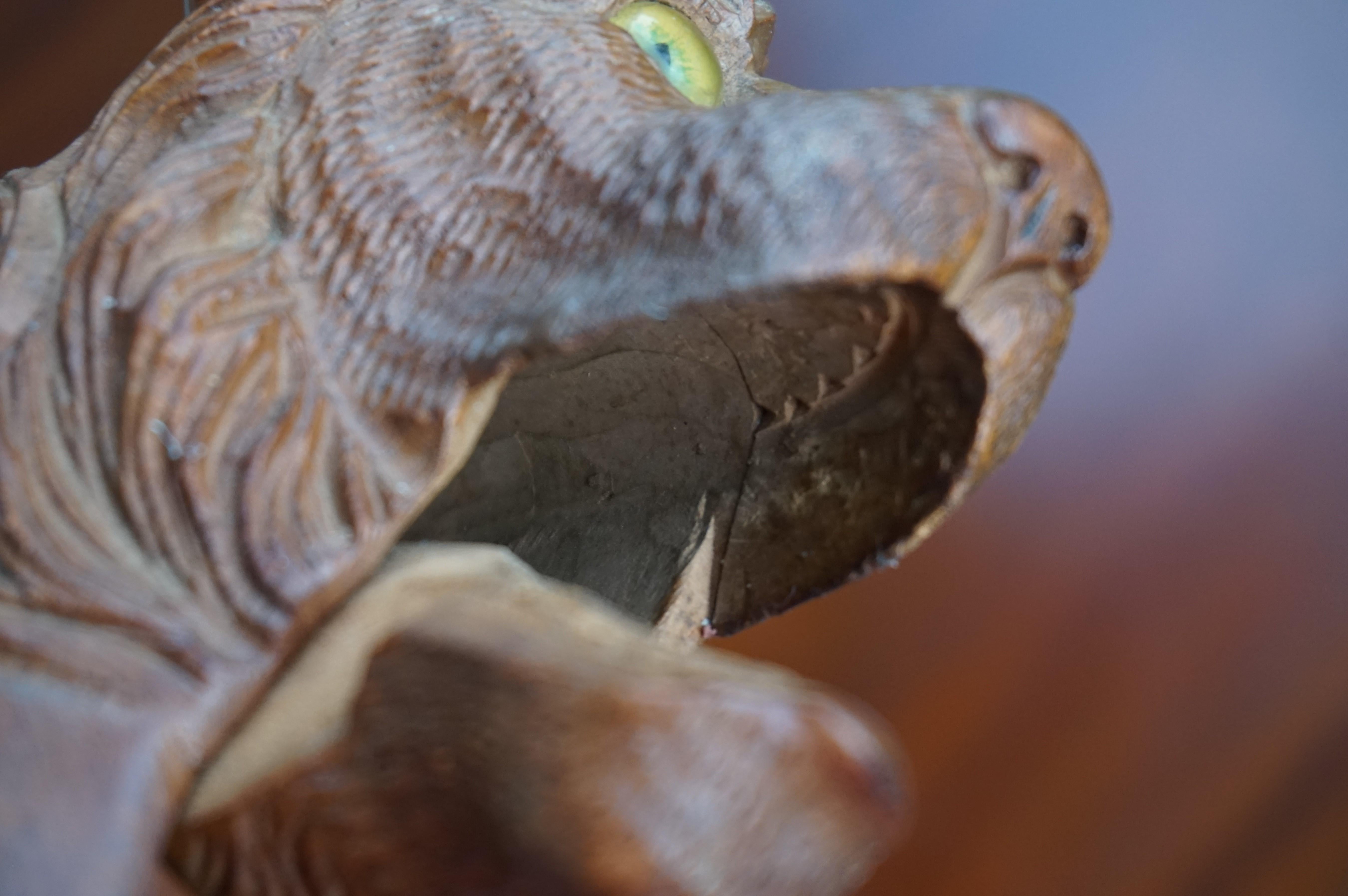 Rare Sculpture de Lion de Black Forest sculptée à la main avec des yeux en verre Casse-Noisette en vente 1