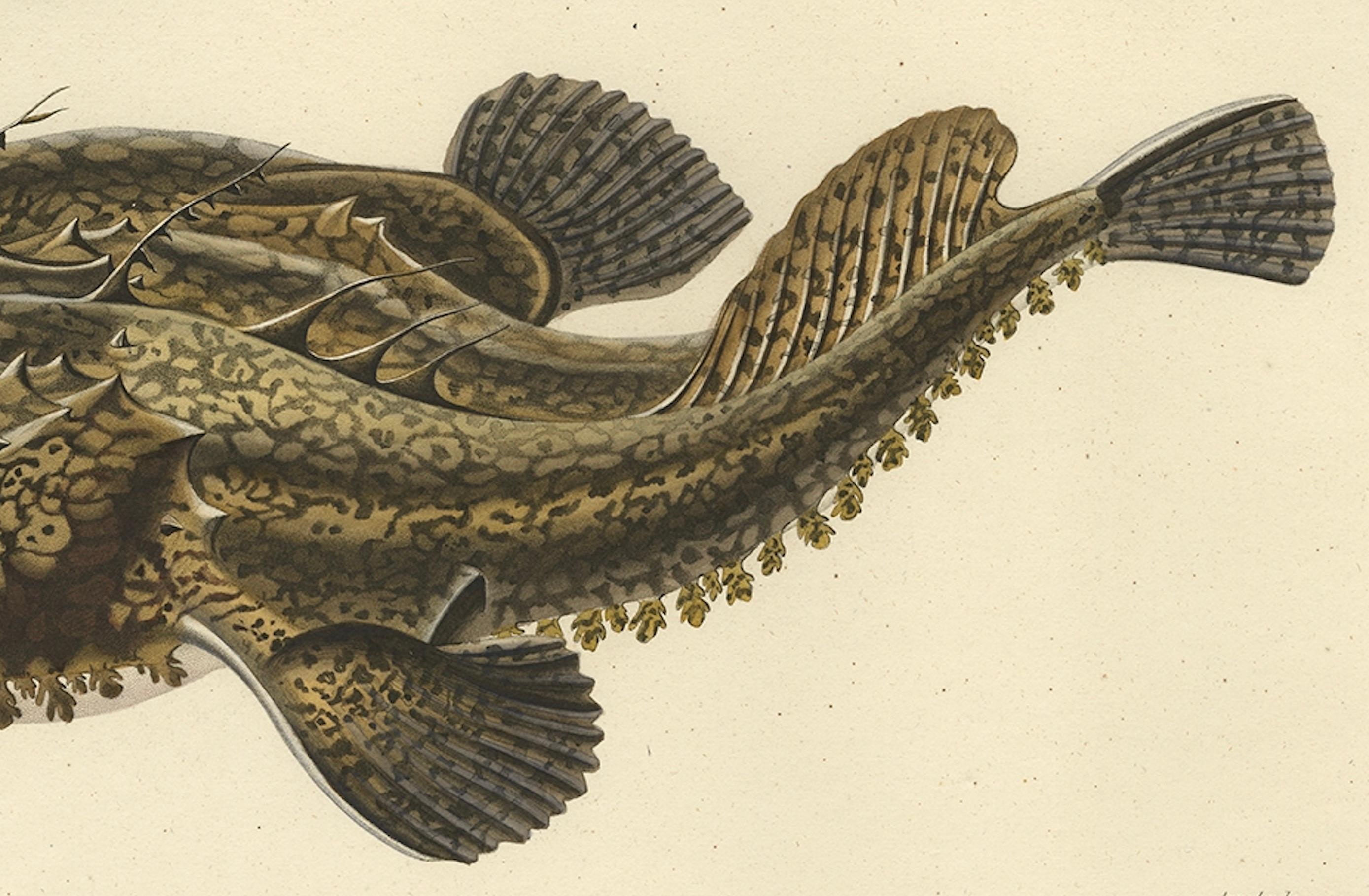 Seltene handkolorierte Gravur eines Fisches mit dem Namen des Anglers, 1842 im Angebot 3