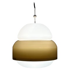 Rare Harvey Guzzini Pendant Chandelier, 1960s