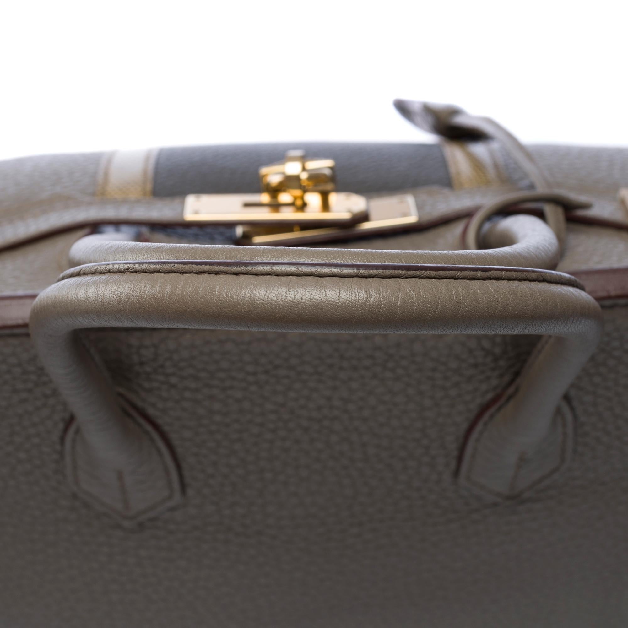 Rare Hermès Birkin Club 30 handbag in grey Taurillon leather and lizard, PHW For Sale 5