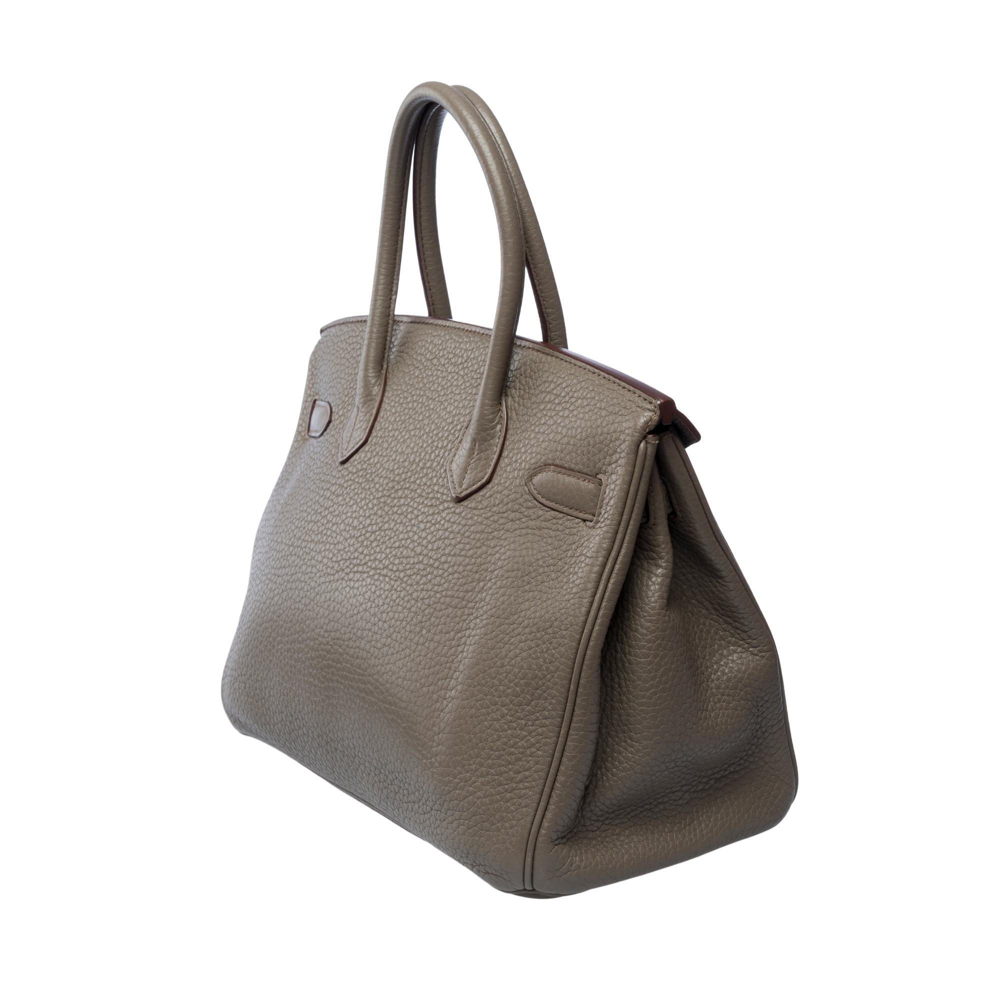 Rare Hermès Birkin Club 30 handbag in grey Taurillon leather and lizard, PHW For Sale 1