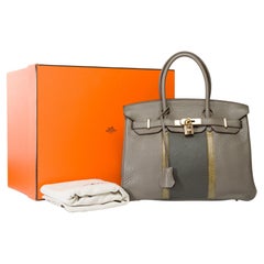 Rare Hermès Birkin Club 30 handbag in grey Taurillon leather and lizard, PHW