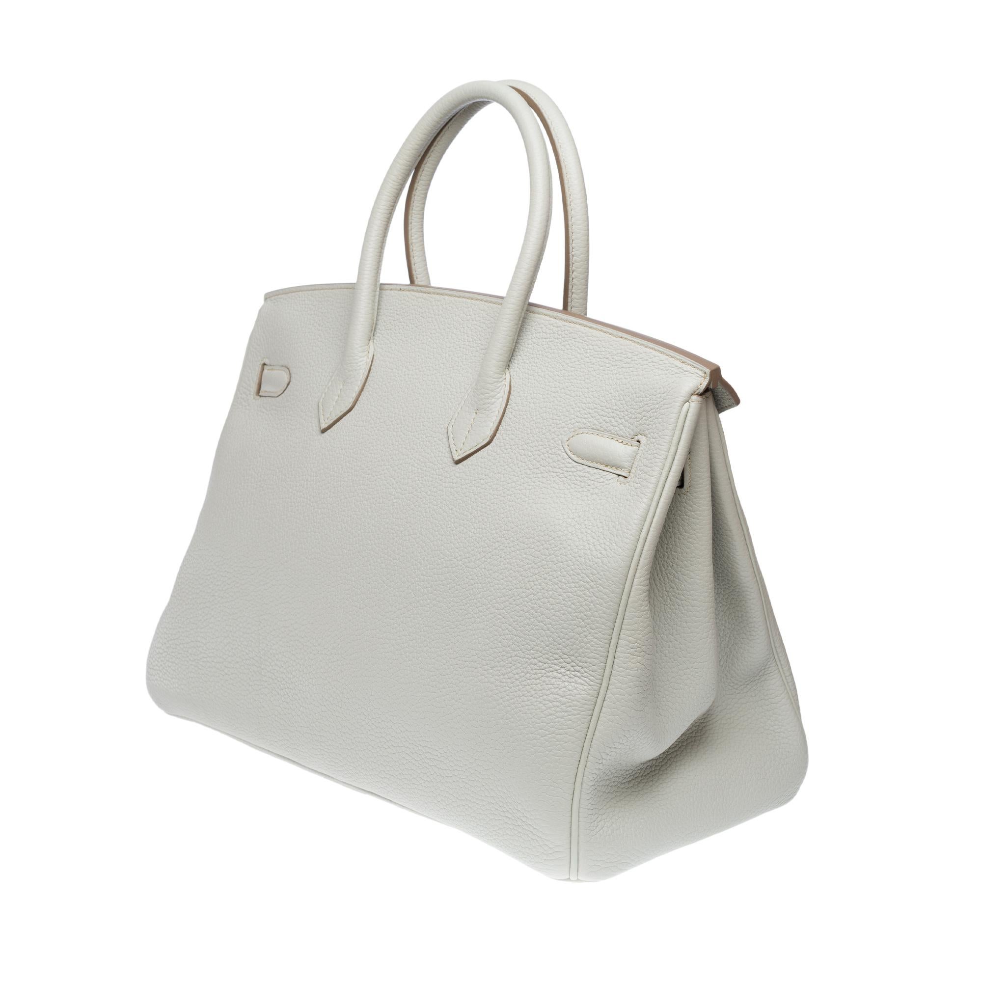 Rare Hermès Birkin Club 35 handbag in grey, white leather and blue lizard, PHW For Sale 1