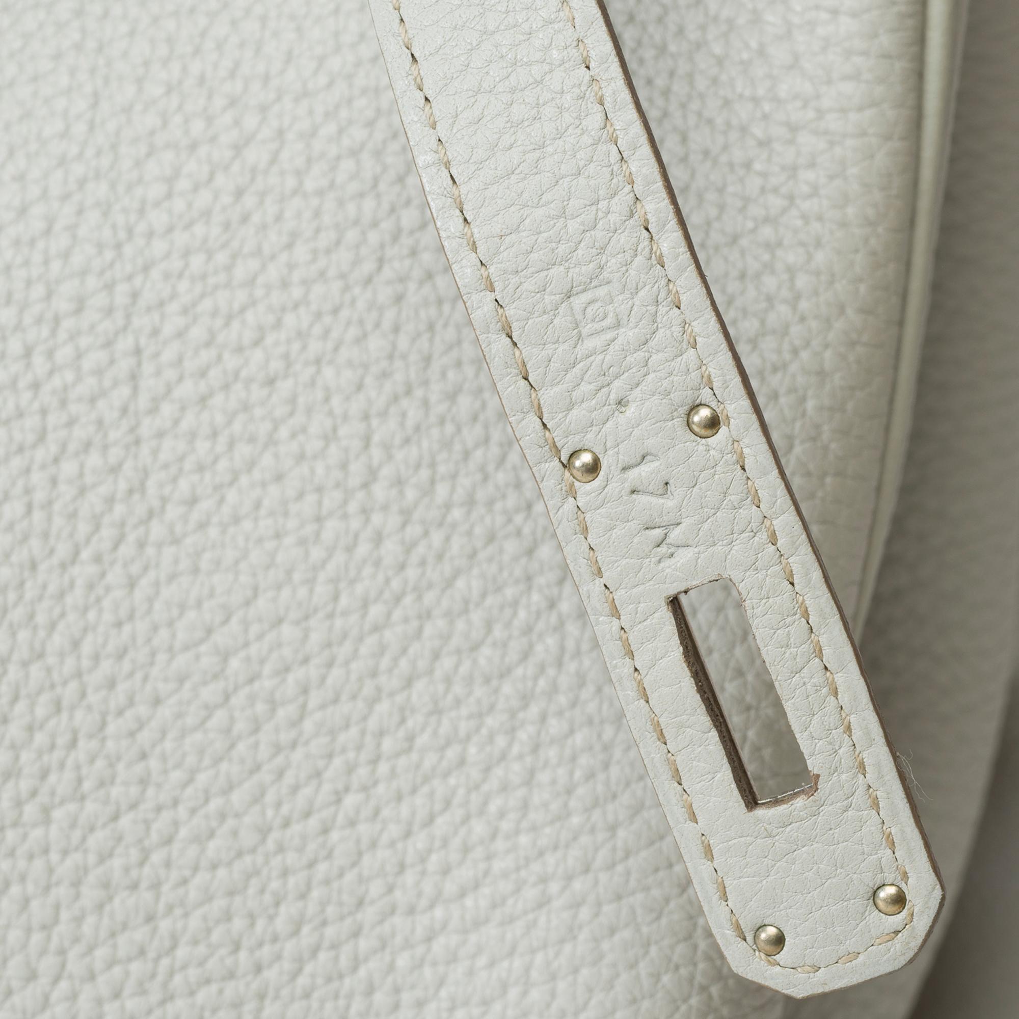 Rare Hermès Birkin Club 35 handbag in grey, white leather and blue lizard, PHW For Sale 3