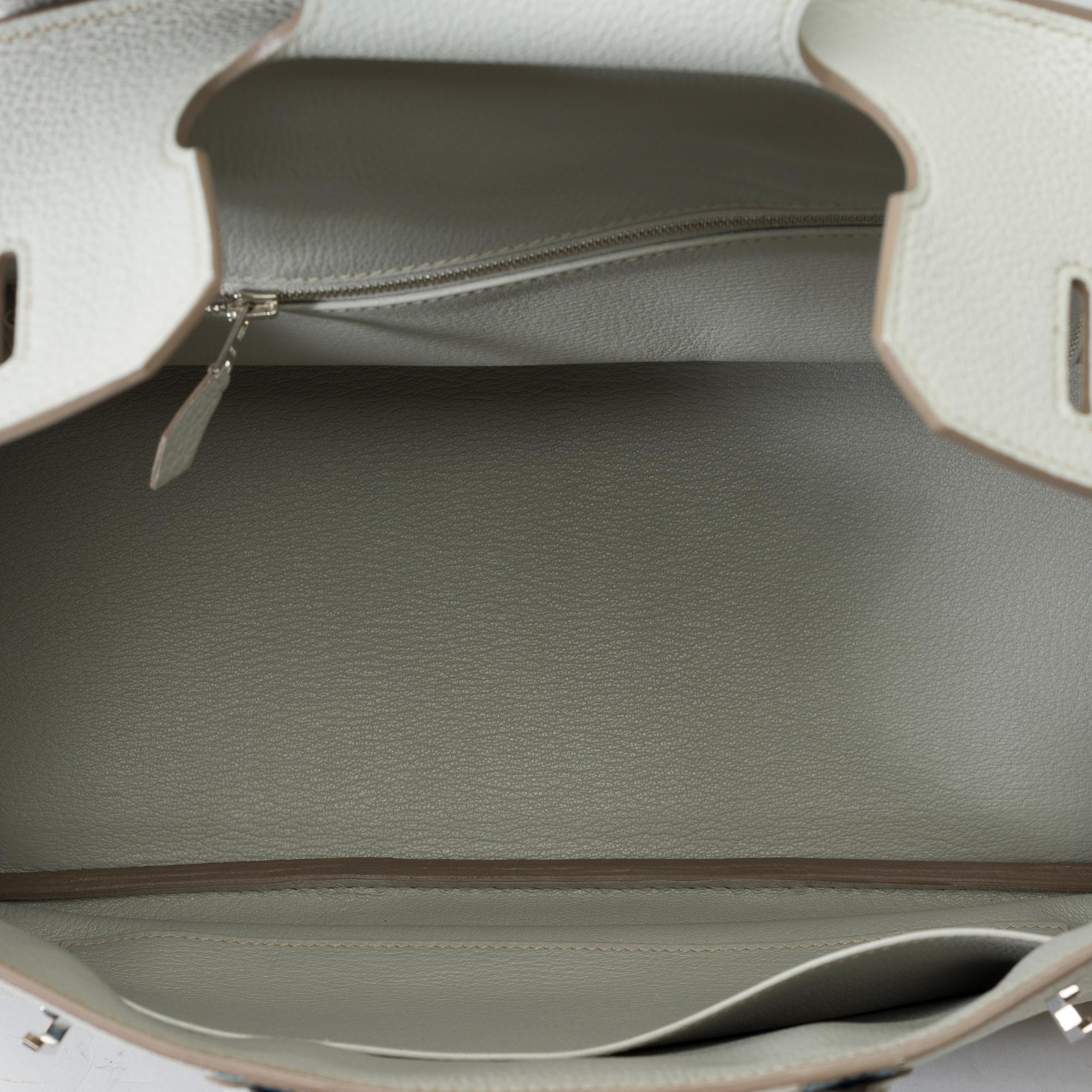 Rare Hermès Birkin Club 35 handbag in grey, white leather and blue lizard, PHW For Sale 4