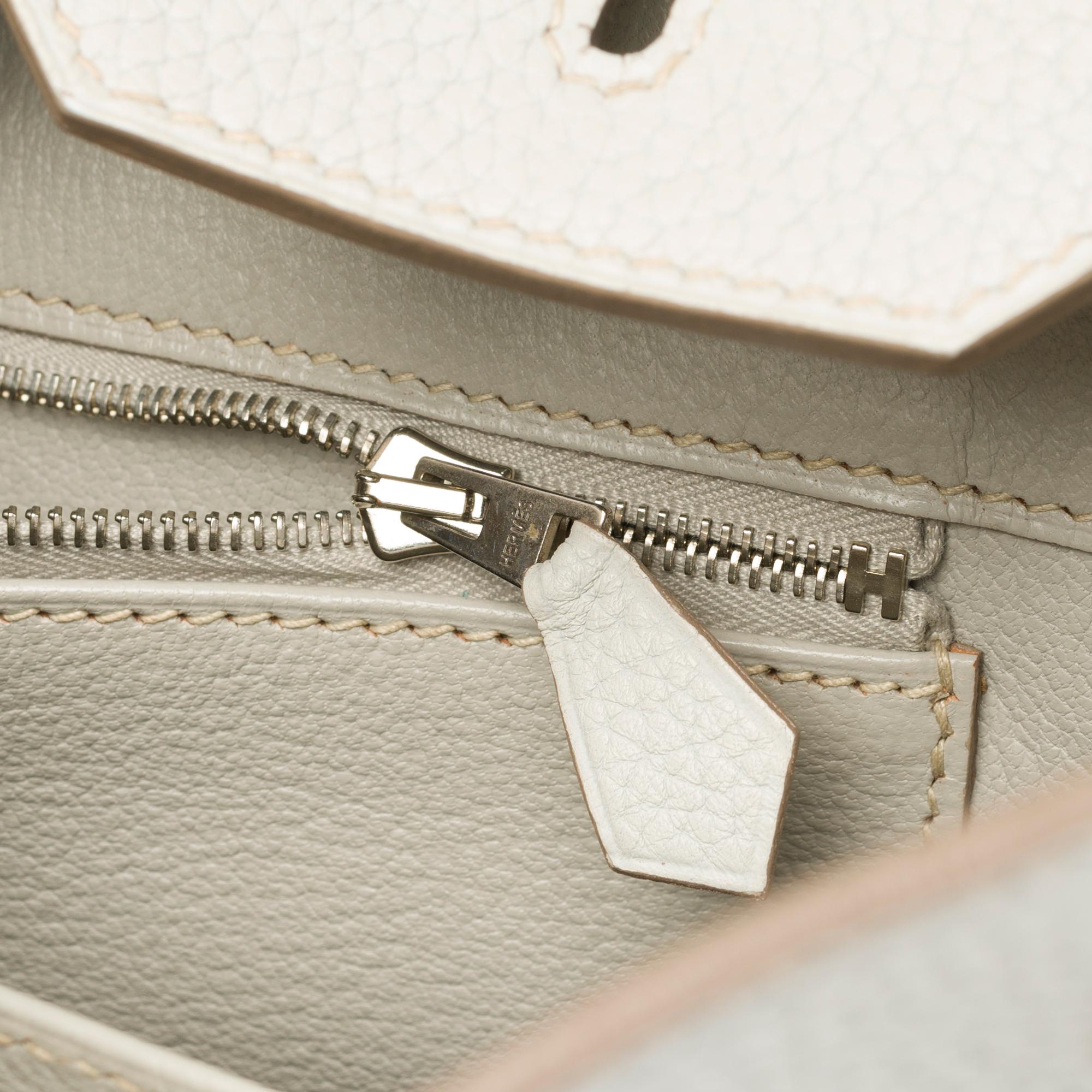Rare Hermès Birkin Club 35 handbag in grey, white leather and blue lizard, SHW 1