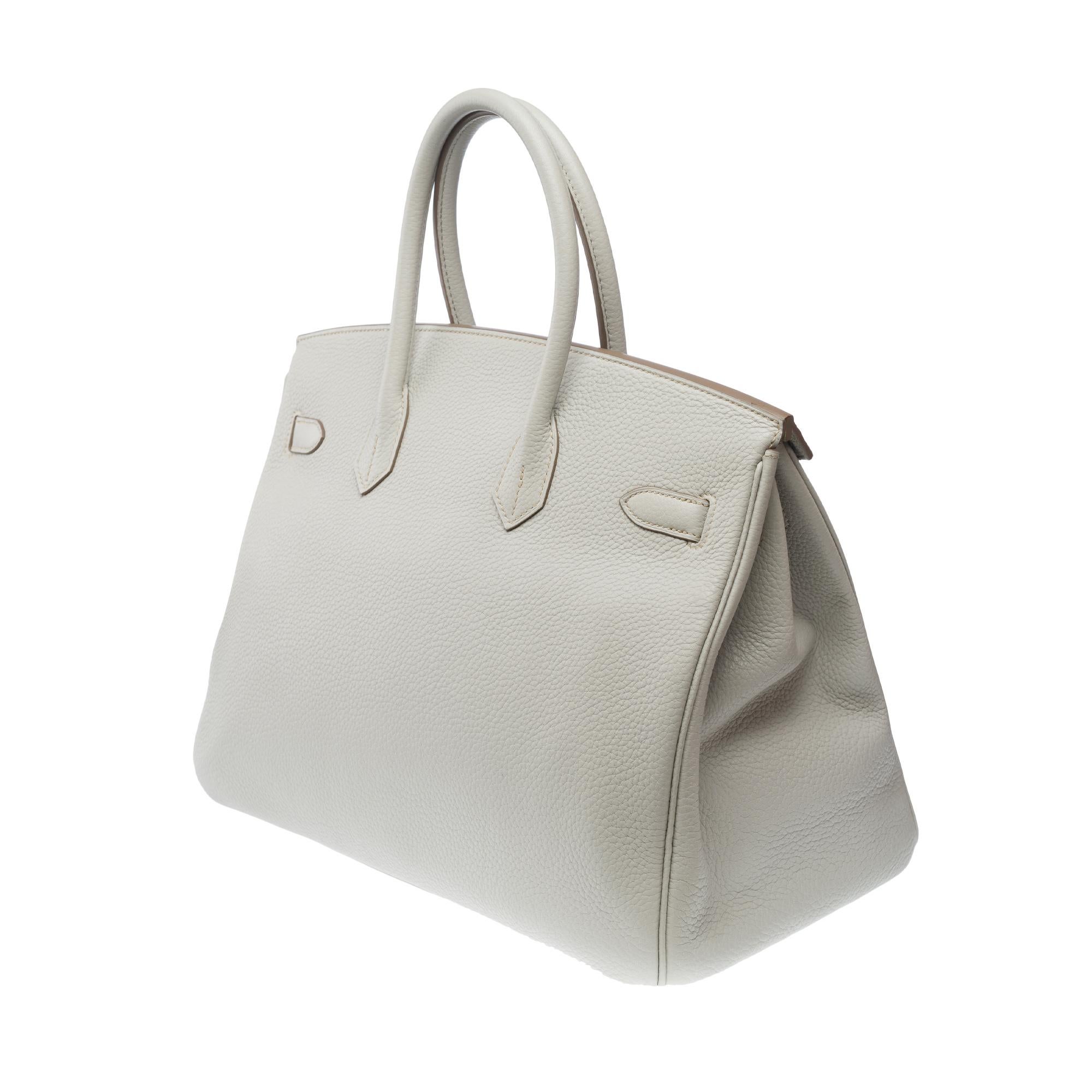 Rare sac à main Hermès Birkin Club 35 en cuir gris, blanc et lézard bleu, SHW en vente 3