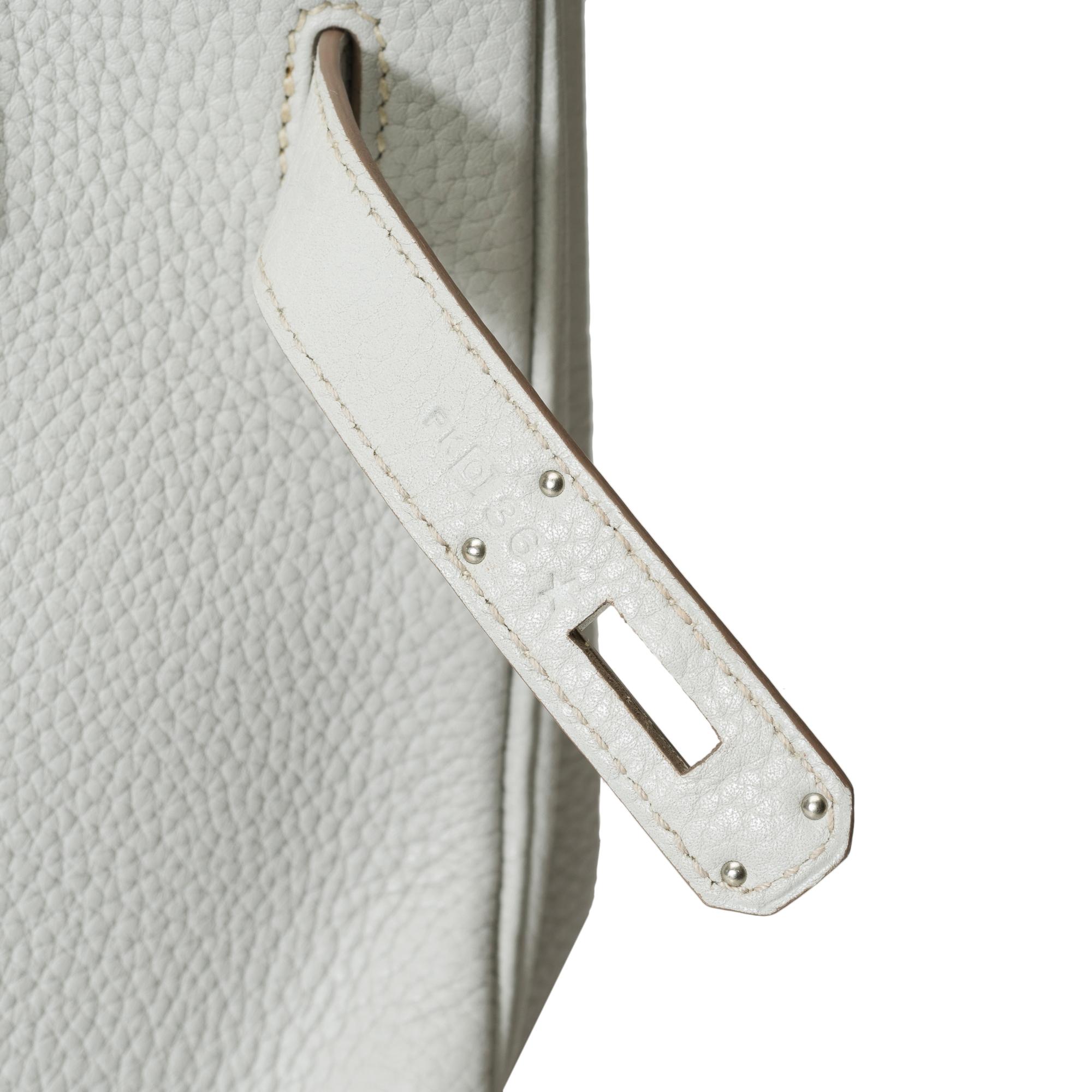 Rare Hermès Birkin Club 35 handbag in grey, white leather and blue lizard, SHW For Sale 5