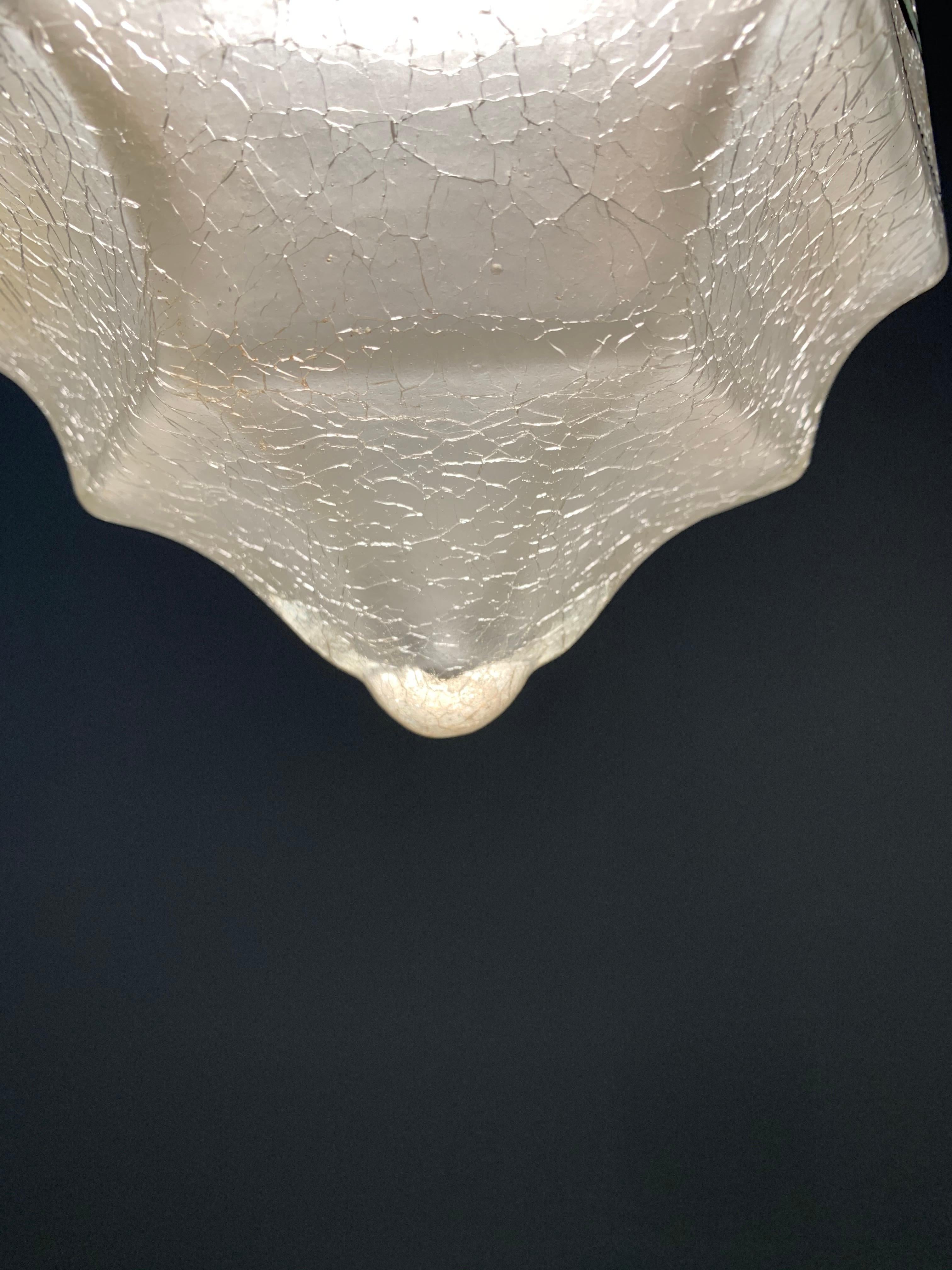 Rare Hexagonal Shape 1920s Crackled Glass w. Striking Flower Shade Pendant Light 8