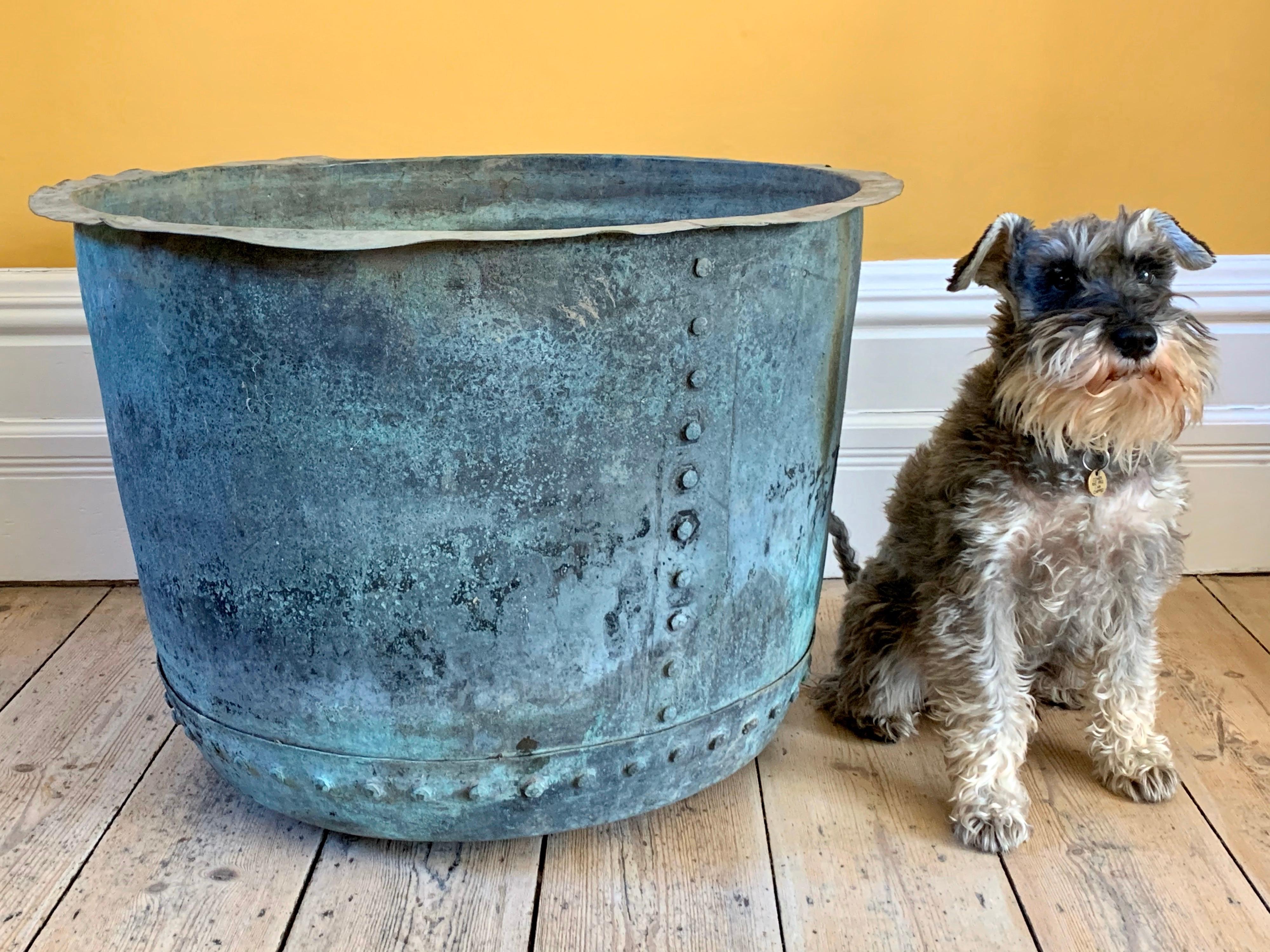 British Colonial Rare Huge English Mid-19th Century Copper Riveted Verdigris Planter