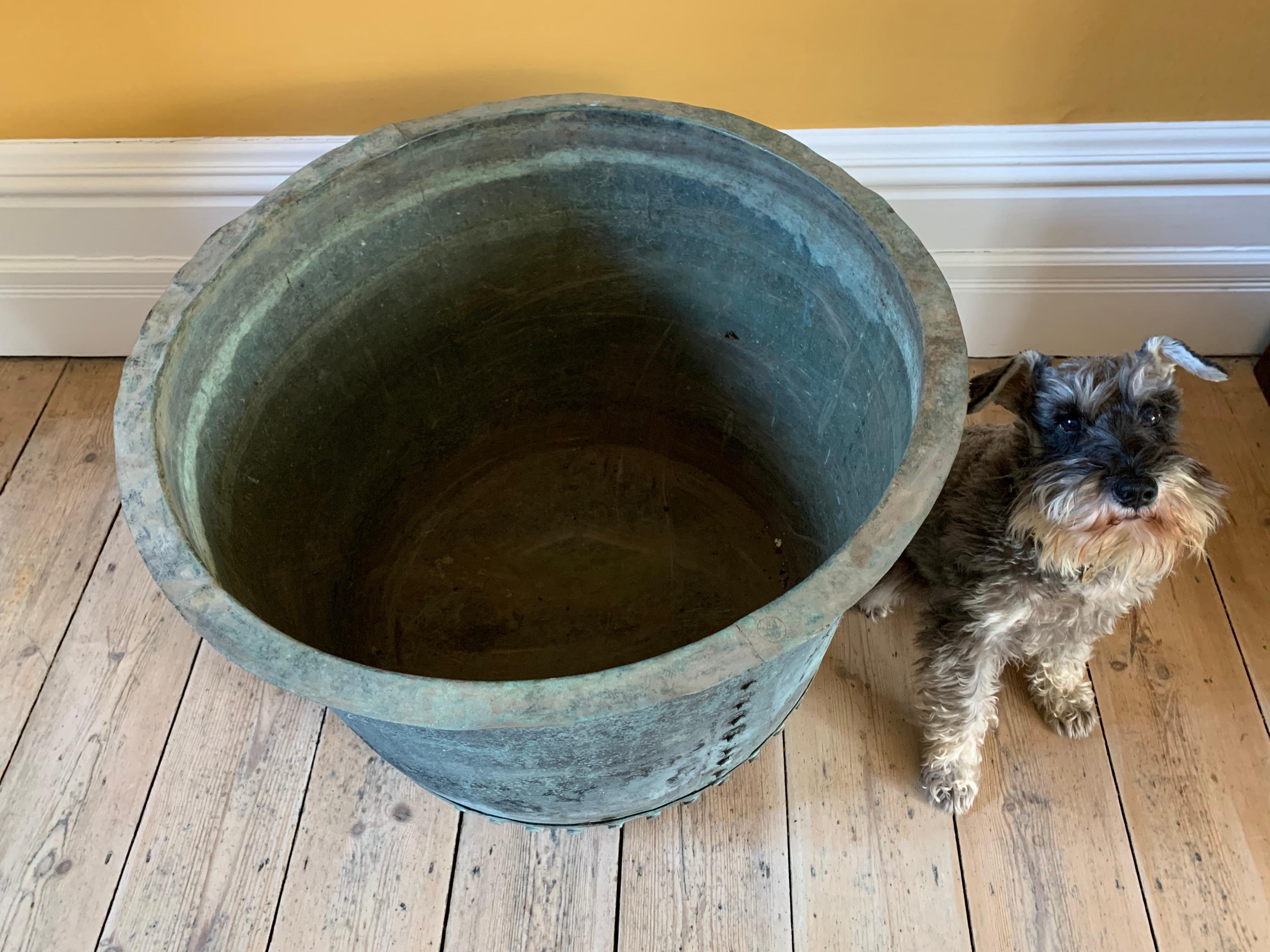 Hand-Crafted Rare Huge English Mid-19th Century Copper Riveted Verdigris Planter