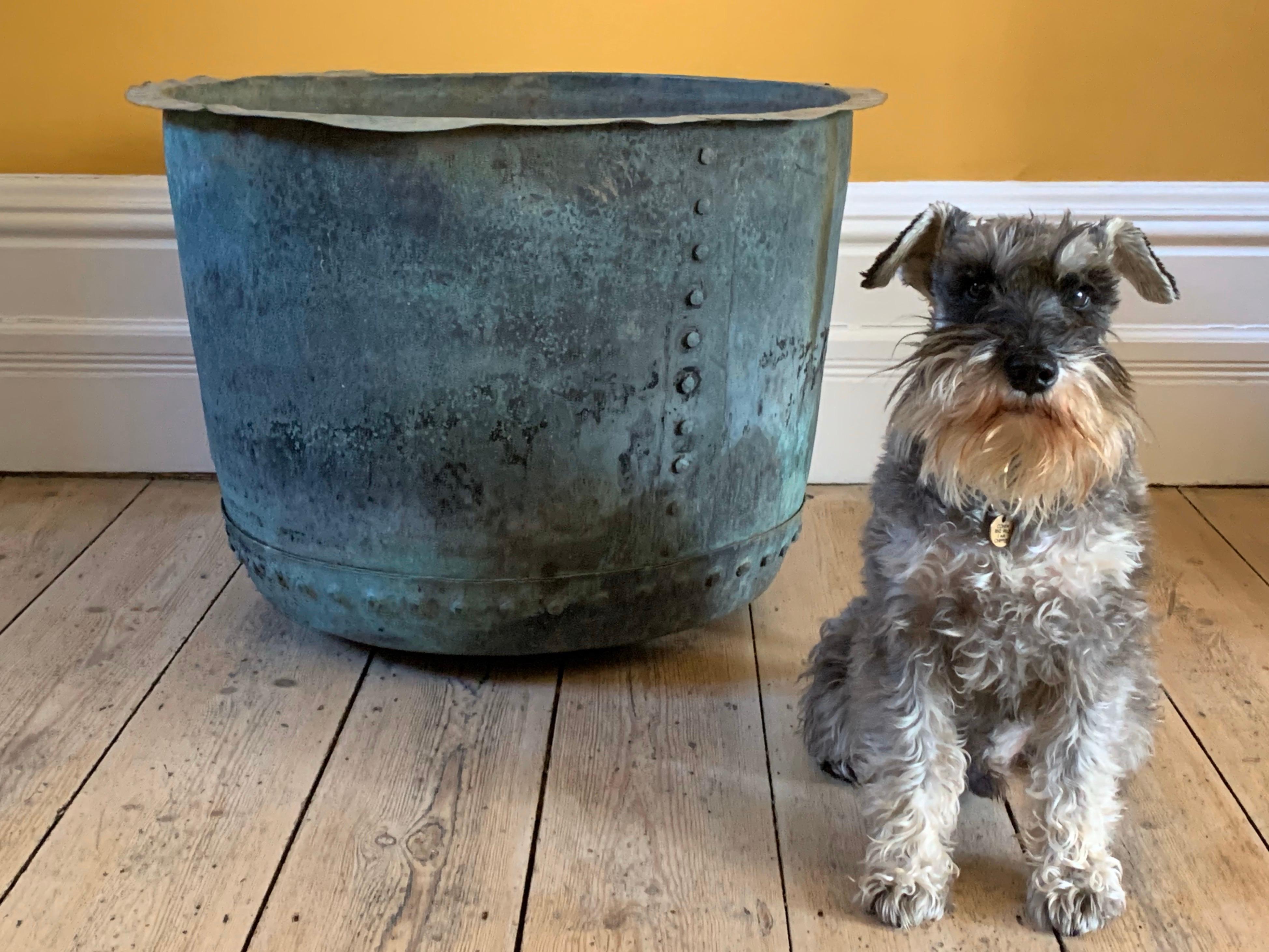 Rare Huge English Mid-19th Century Copper Riveted Verdigris Planter In Distressed Condition In London, GB