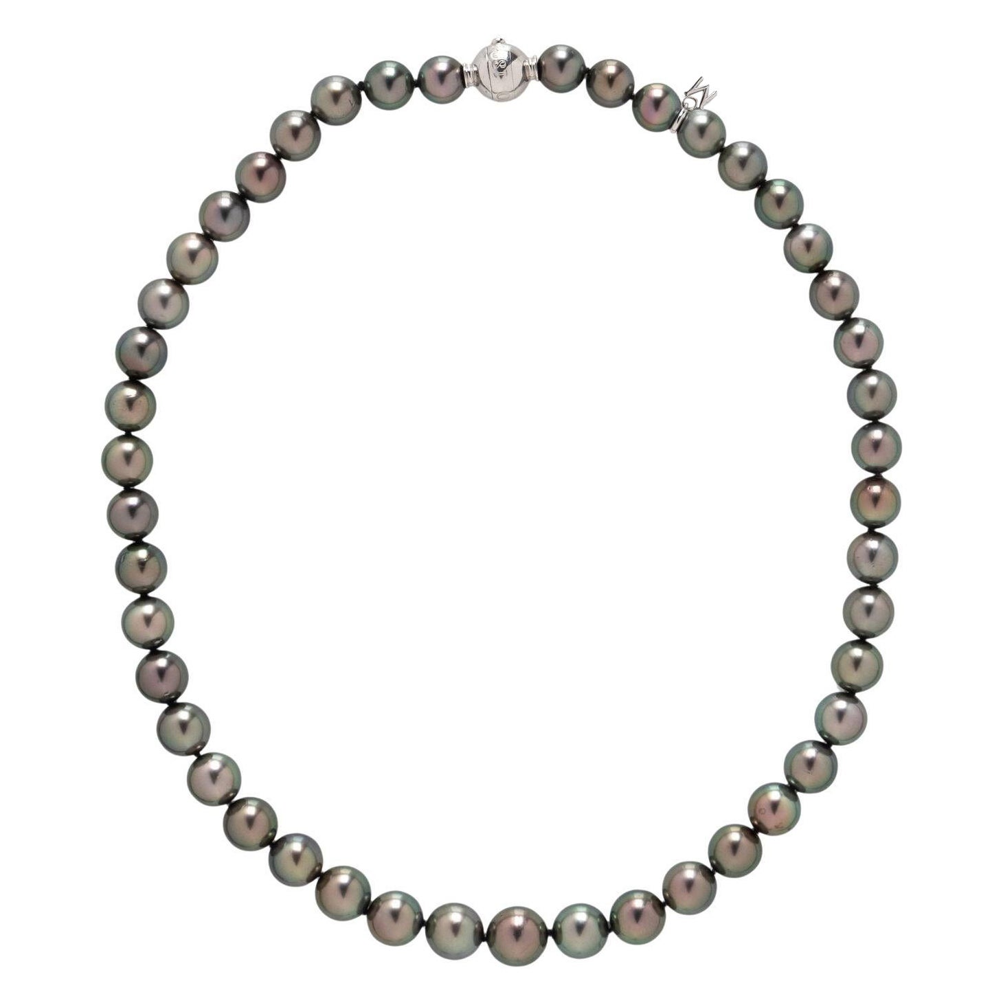 Rare Important Estate Gold 18KT Original Mikimoto Tahitian Pearl Strand Necklace en vente