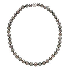 Rare Important Estate Gold 18KT Original Mikimoto Tahitian Pearl Strand Necklace