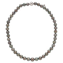 Rare Important Estate 18KT Gold Original Mikimoto Tahitian Pearl Strand Necklace