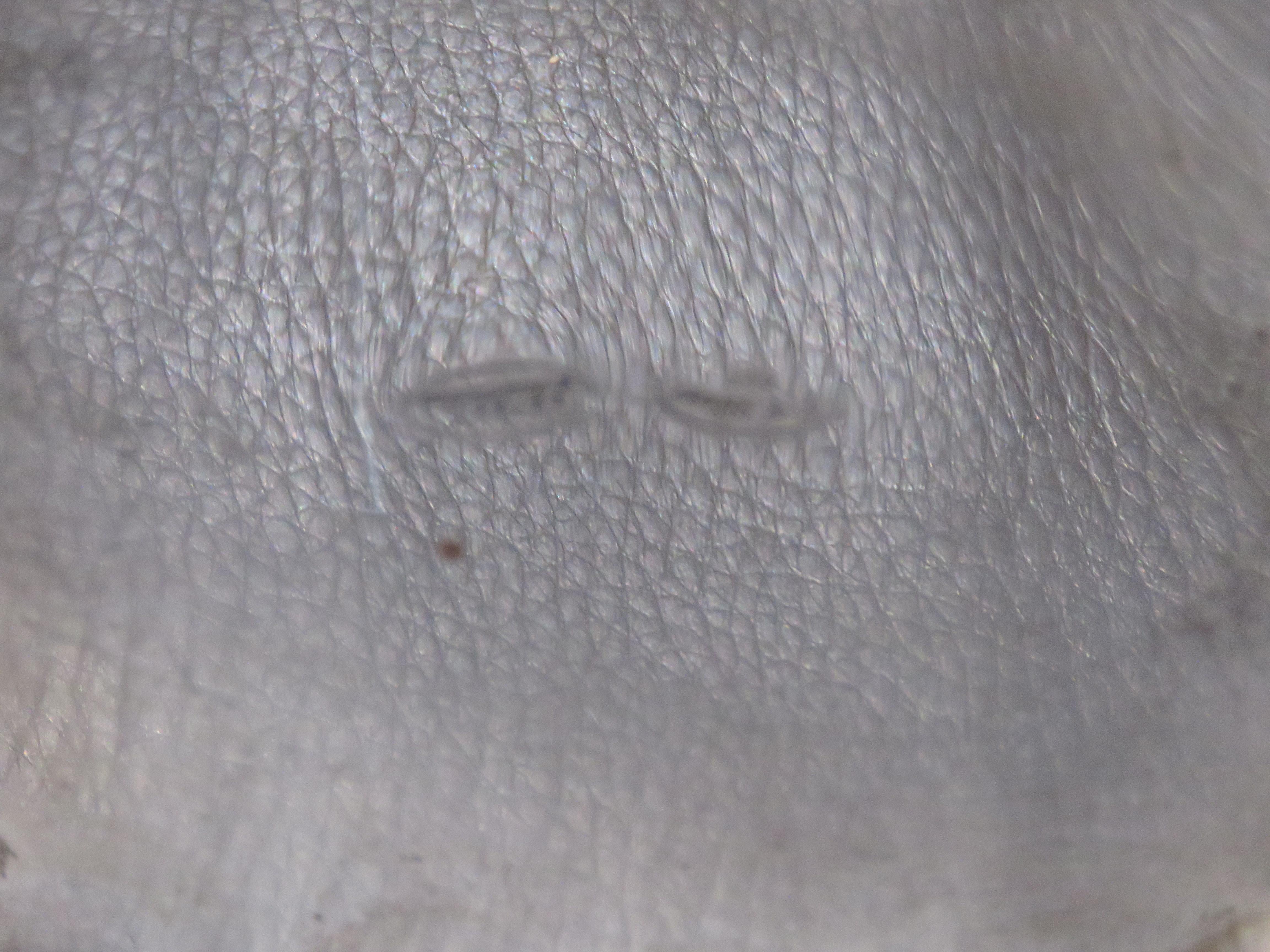 Raro e importante estuche de plata STERLING martillada a mano con grabados en forma de volutas Martillado en venta