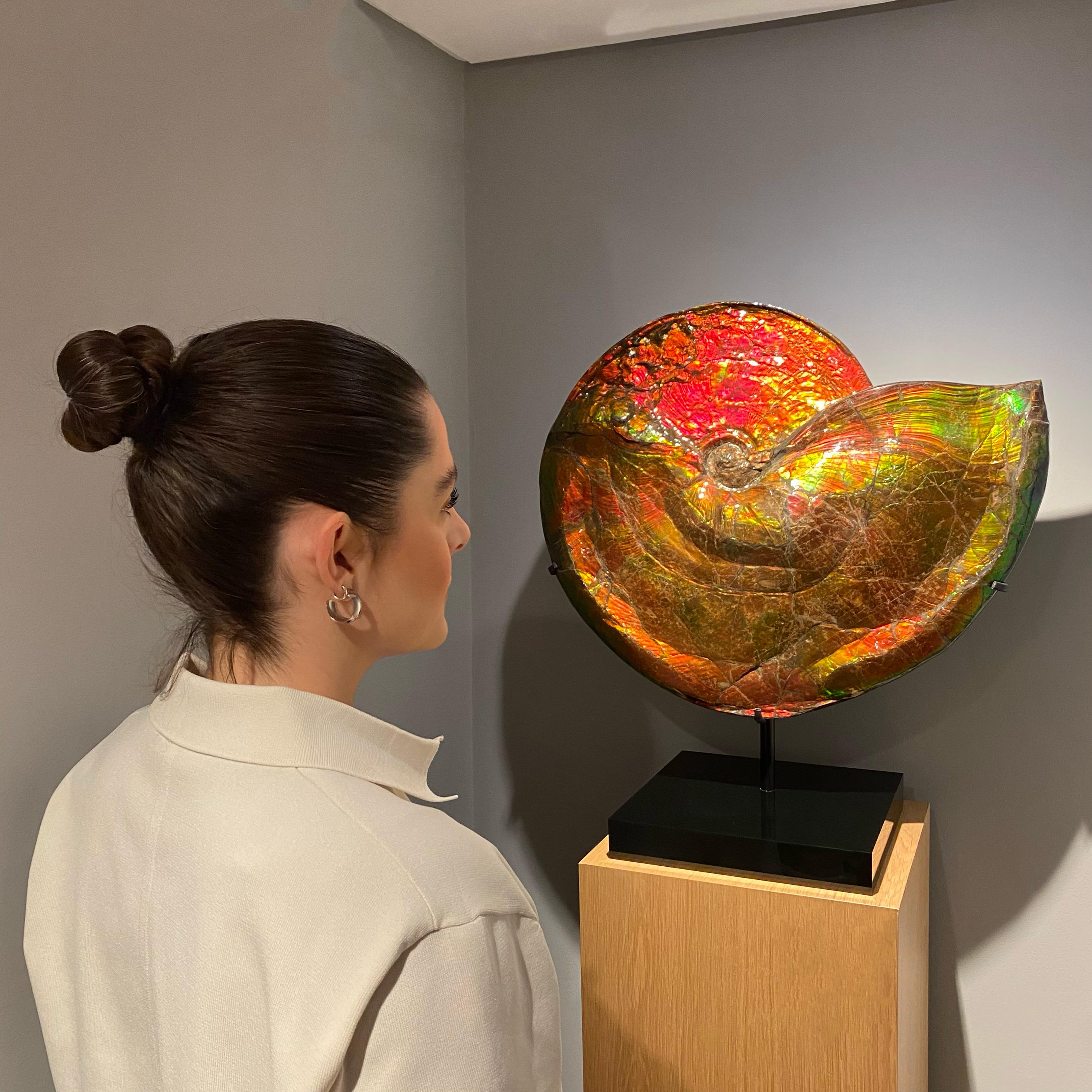 placenticeras intercalare