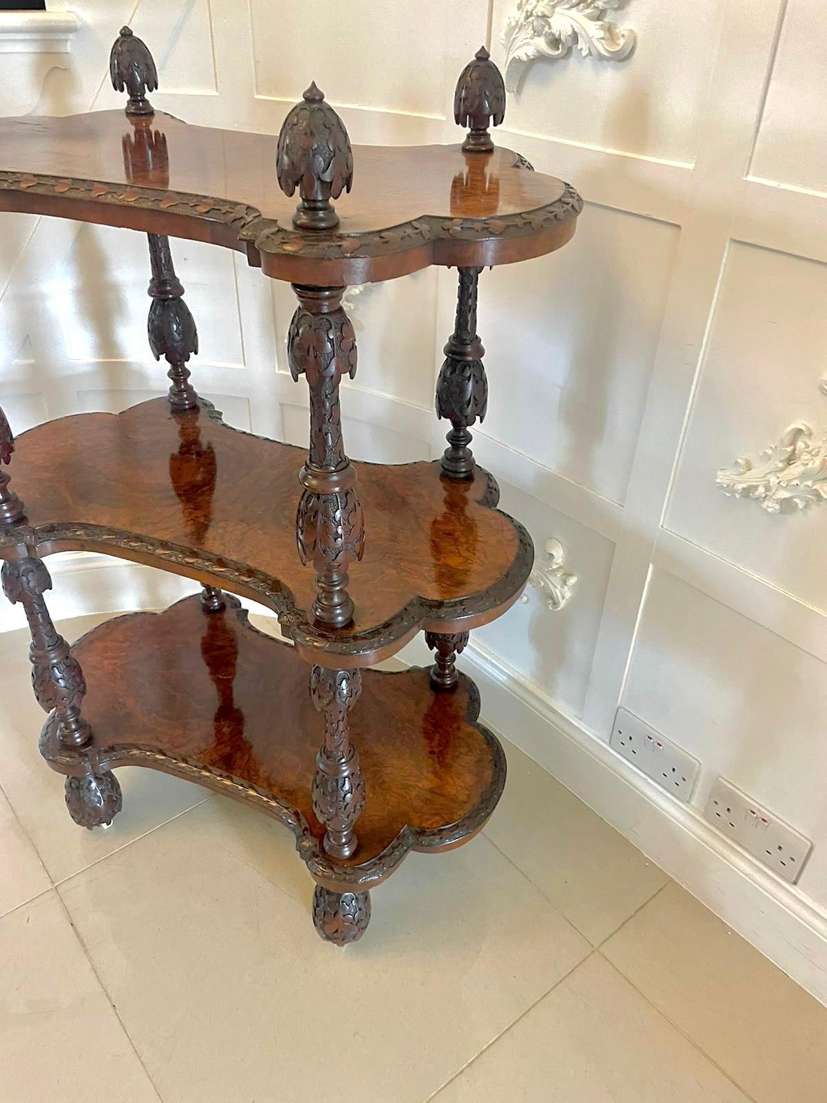 Raro irlandés antiguo de calidad de exposición independiente de madera de nogal tallada Whatnot en venta 2