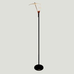 Rare Italian Reflecting Glass Floor Lamp, 1970s