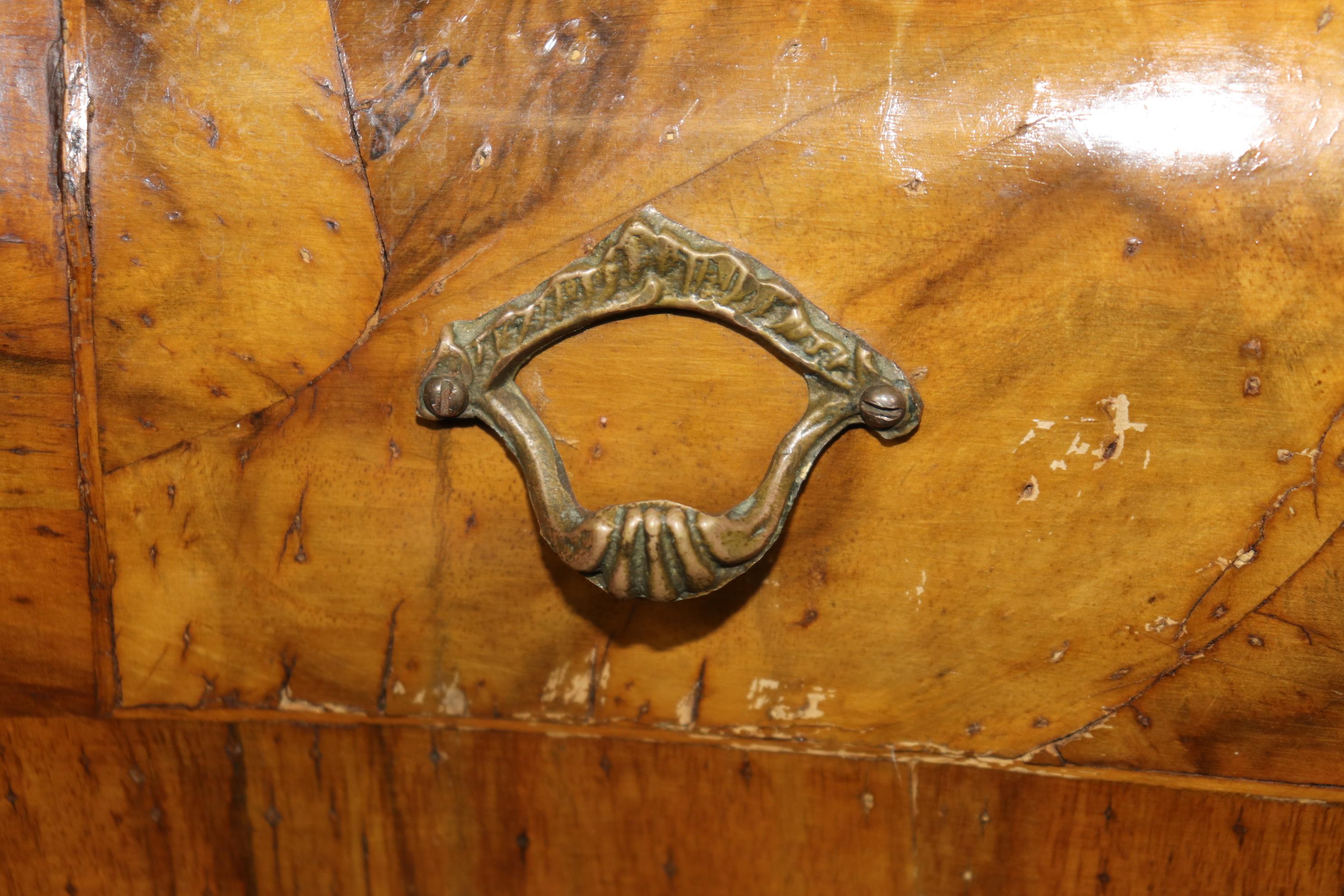 Rare Italian Rococo Coke Bottle Curves Olivewood Secretary Desk Bookcase Top 6