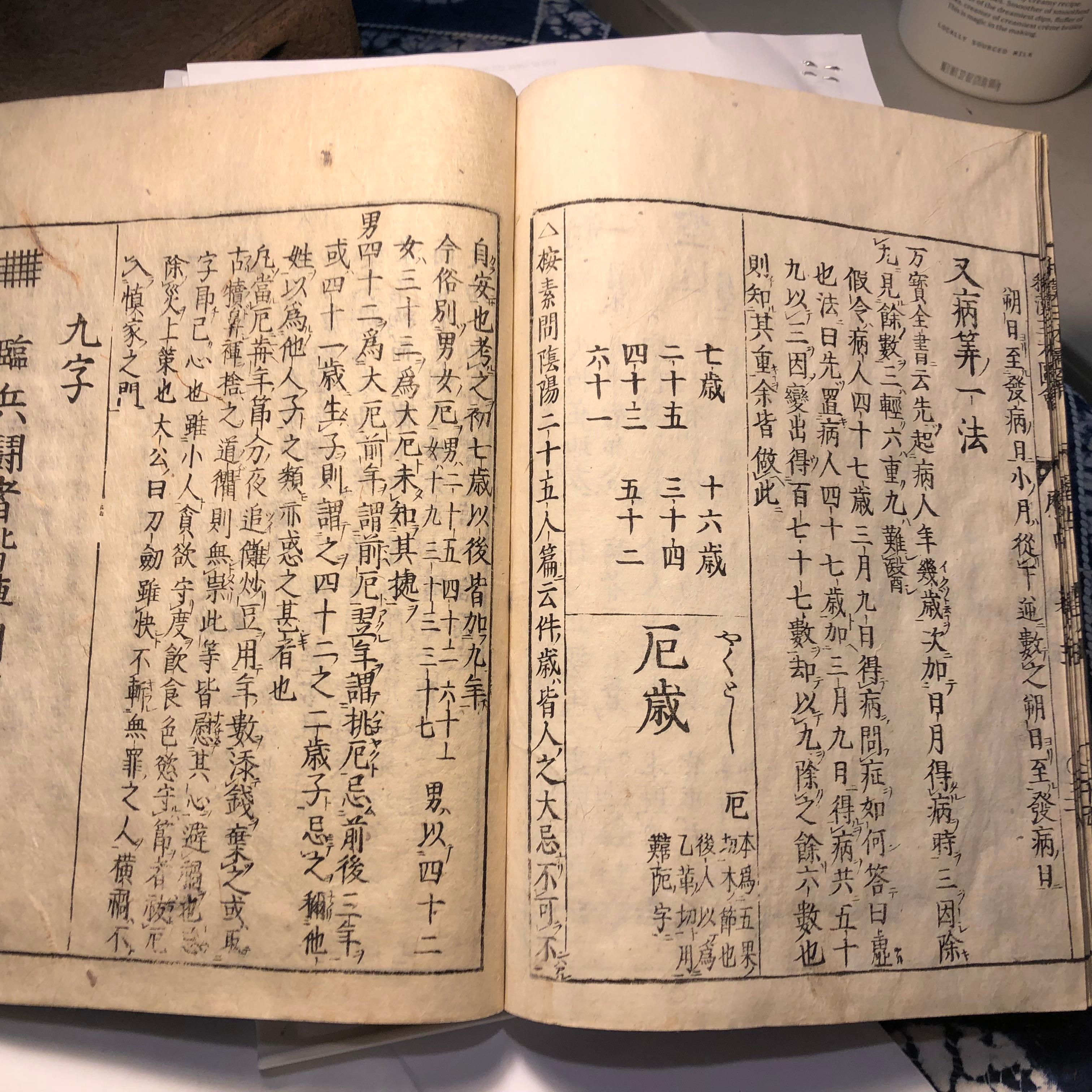  Japanese Feng Shui Antique Woodblock Book Wind Water Frameable Prints 8